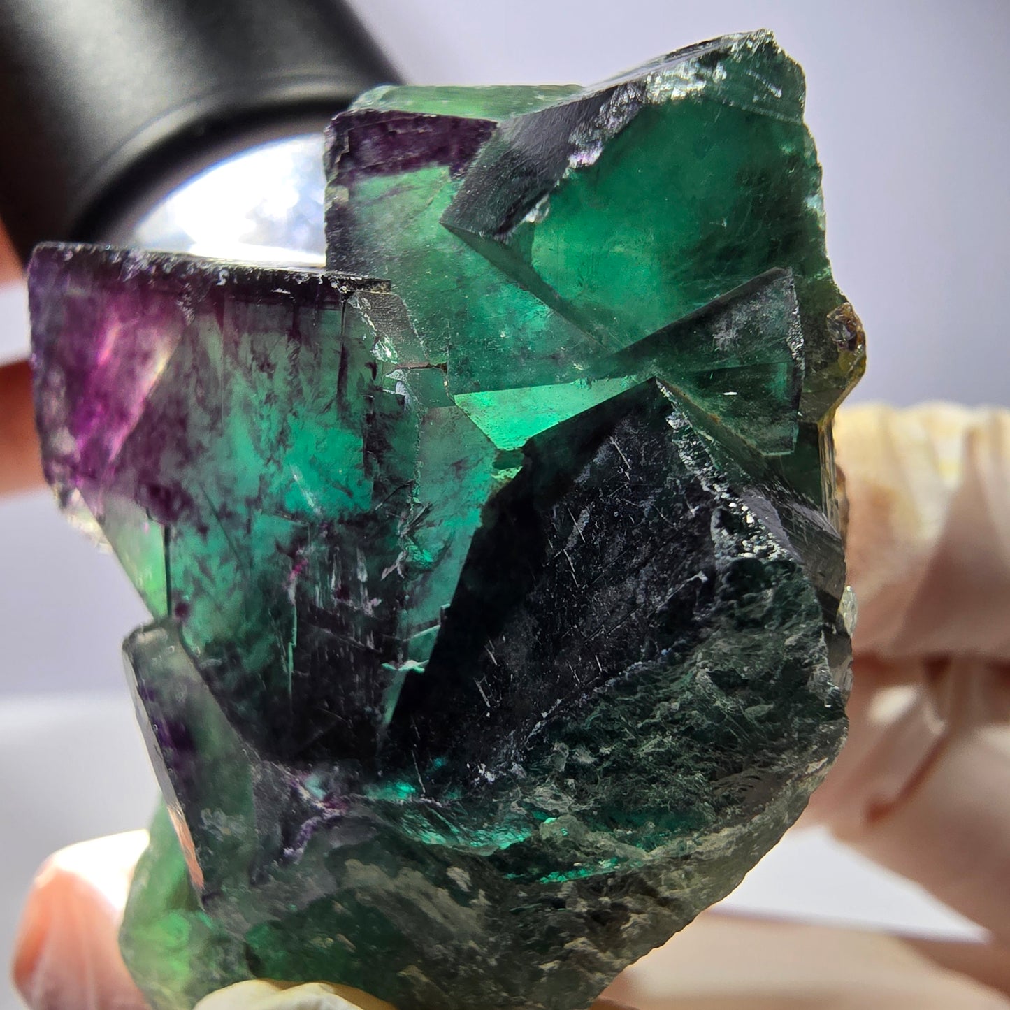Phantom Fluorit Würfel Stufe, parkettiert grün lila Okorusu, Namibia 51*40*21mm
