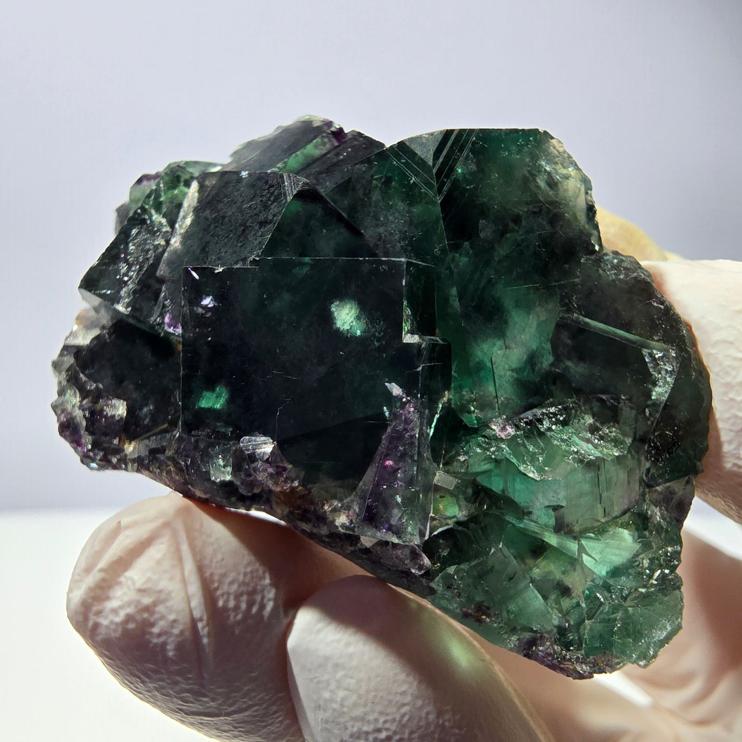 Spécimen de cube de fluorite fantôme, parqueté vert violet Okorusu, Namibie 49*31*21 mm