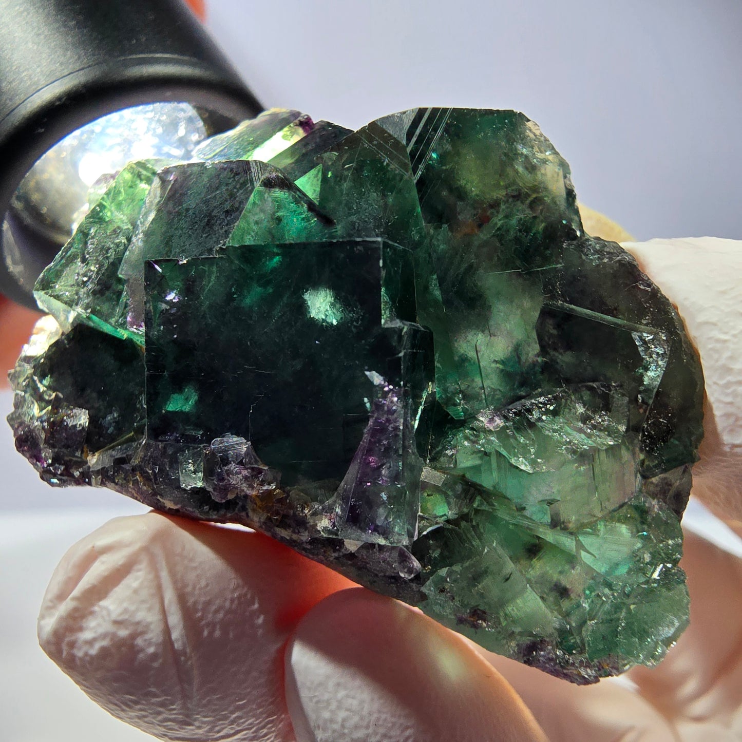 Spécimen de cube de fluorite fantôme, parqueté vert violet Okorusu, Namibie 49*31*21 mm