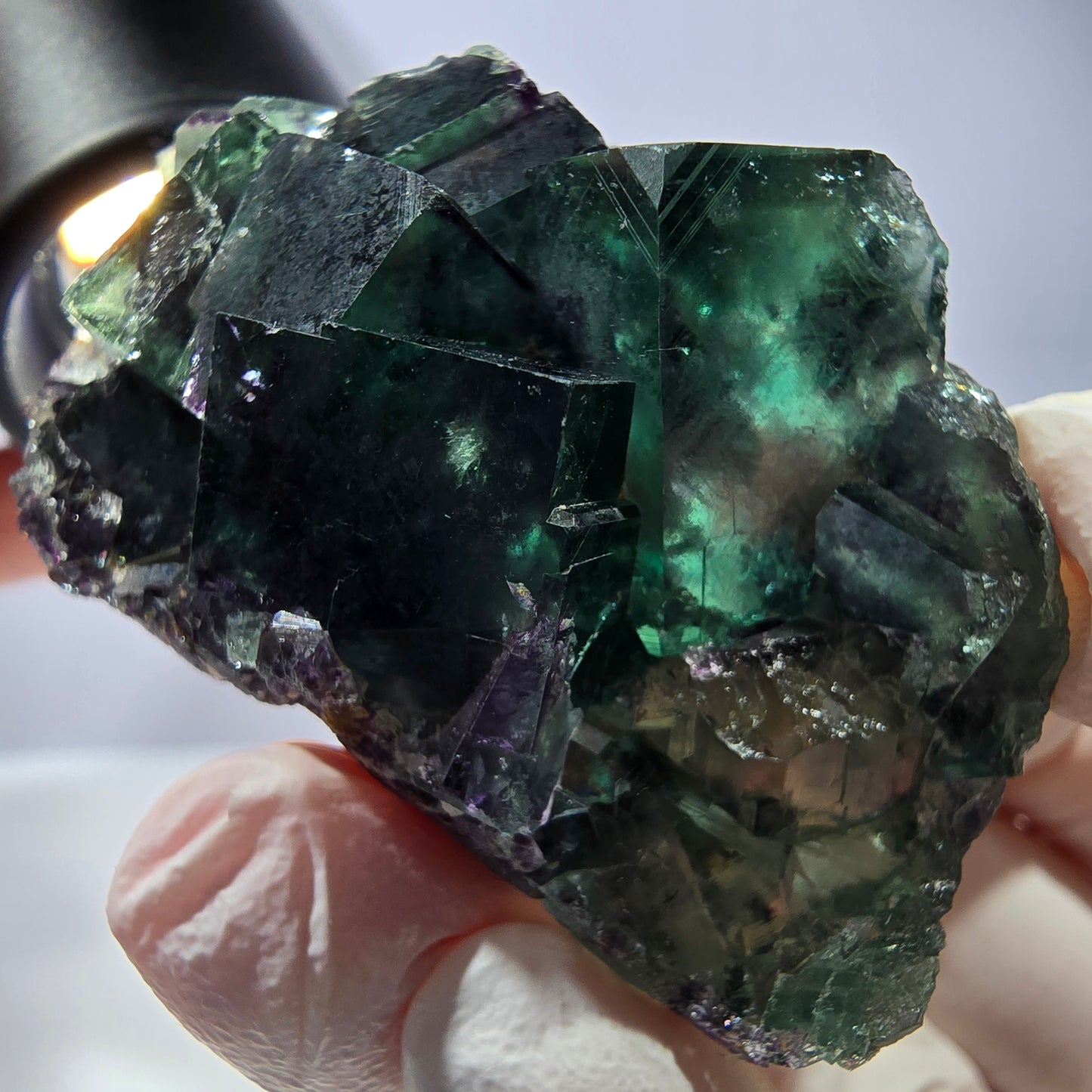 Spécimen de cube de fluorite fantôme, parqueté vert violet Okorusu, Namibie 49*31*21 mm