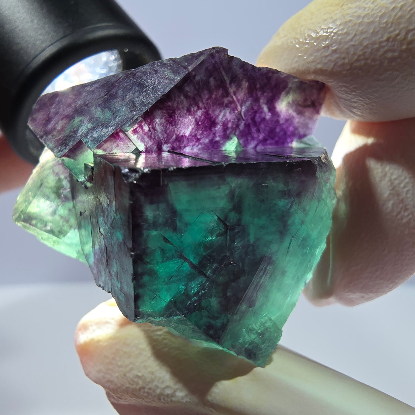 Spécimen de cube de fluorite fantôme, parqueté vert violet Okorusu, Namibie 38*34*25 mm