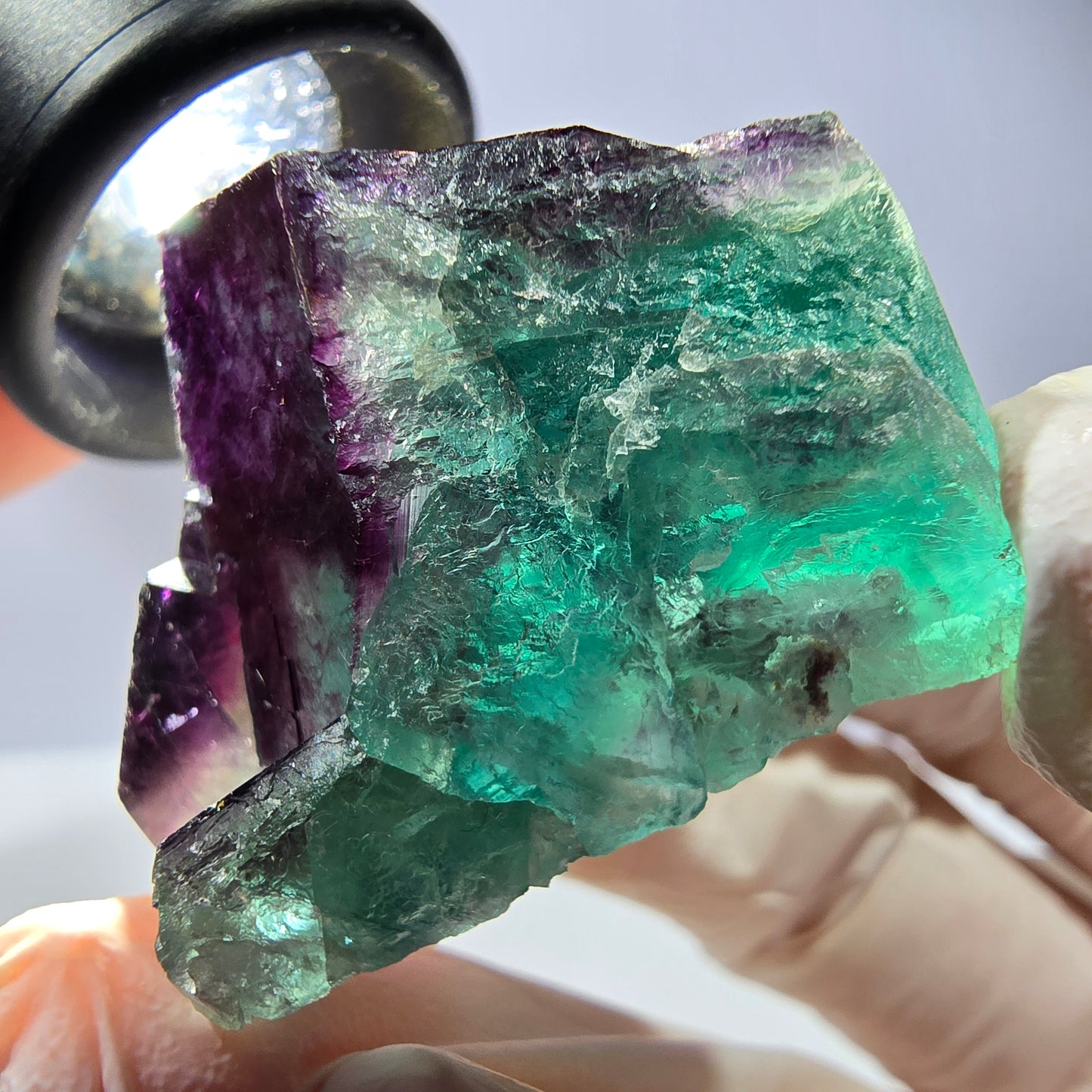 Spécimen de cube de fluorite fantôme, parqueté vert violet Okorusu, Namibie 38*34*25 mm