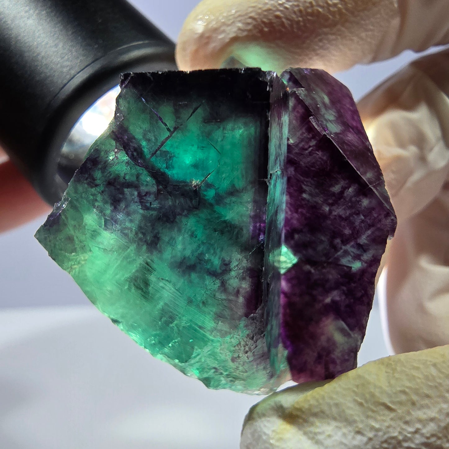 Spécimen de cube de fluorite fantôme, parqueté vert violet Okorusu, Namibie 38*34*25 mm