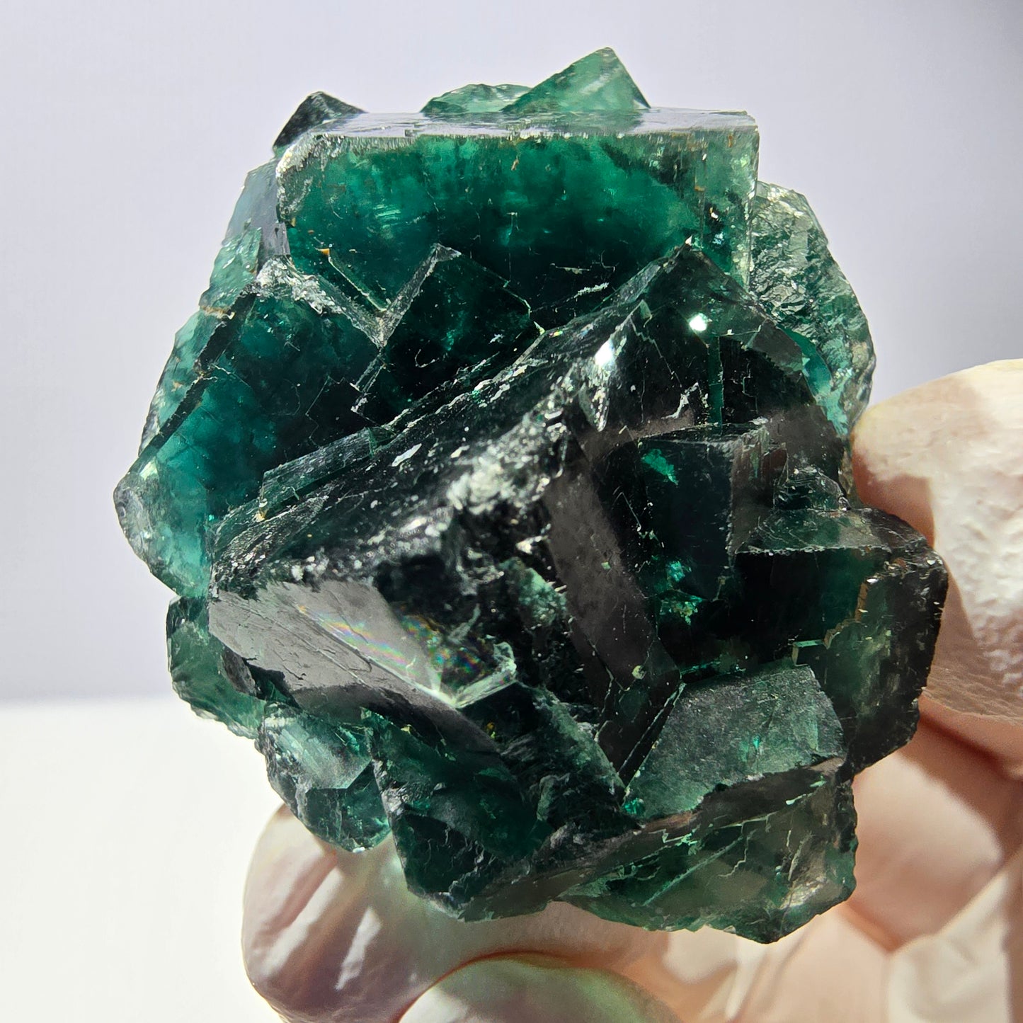 Spécimen de cube de fluorite fantôme, parqueté vert violet Okorusu, Namibie 47*36*24 mm