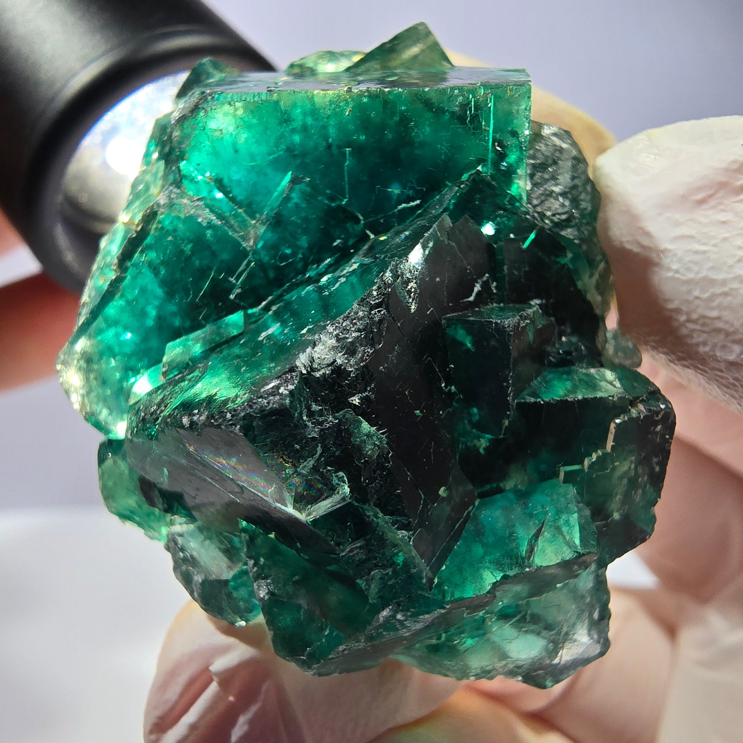 Spécimen de cube de fluorite fantôme, parqueté vert violet Okorusu, Namibie 47*36*24 mm