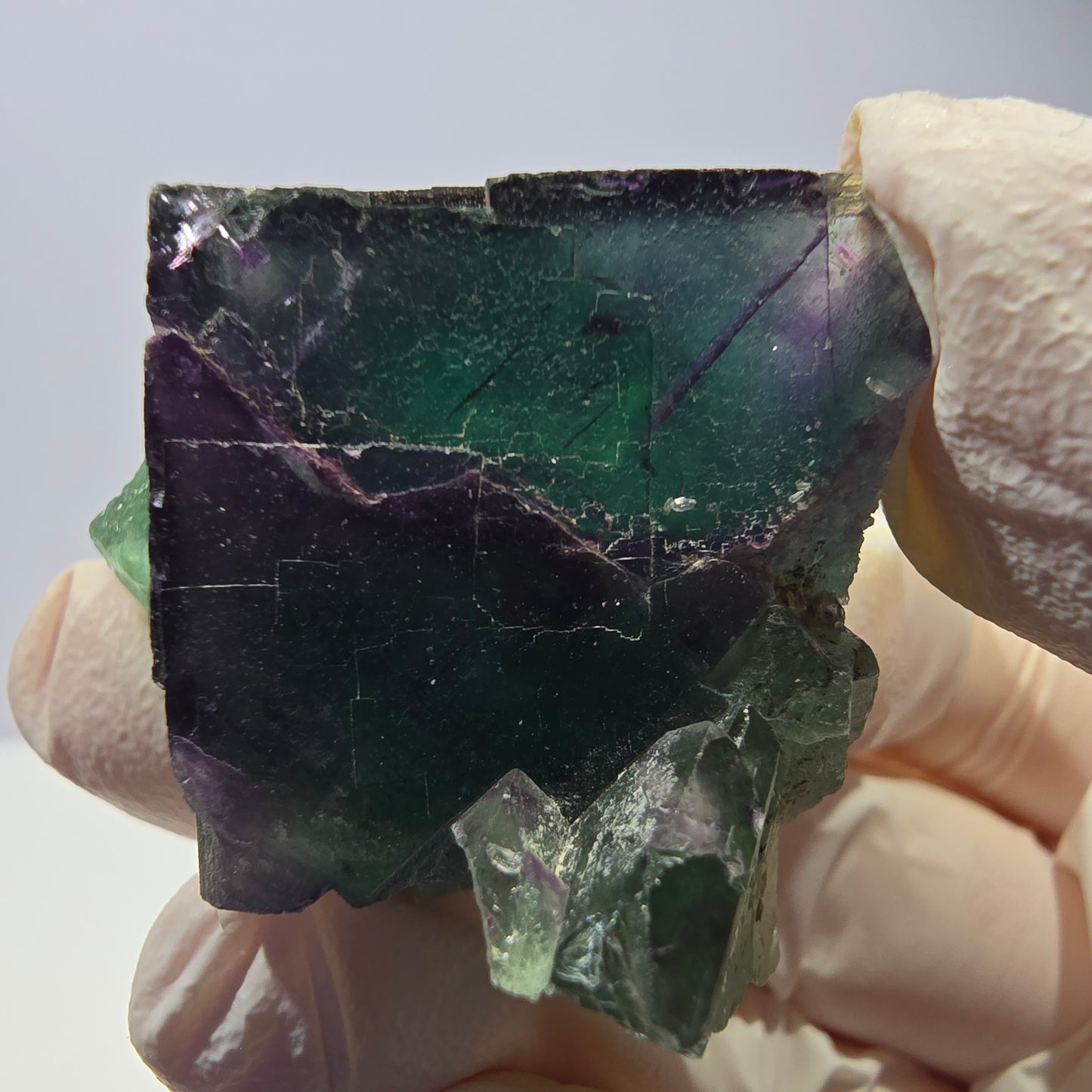 Spécimen de cube de fluorite fantôme, parqueté vert violet Okorusu, Namibie 40*32*25 mm