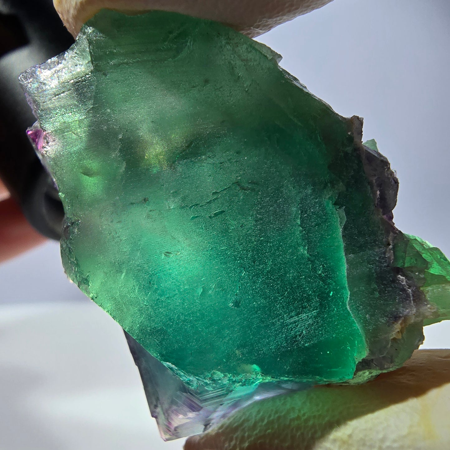 Spécimen de cube de fluorite fantôme, parqueté vert violet Okorusu, Namibie 40*32*25 mm