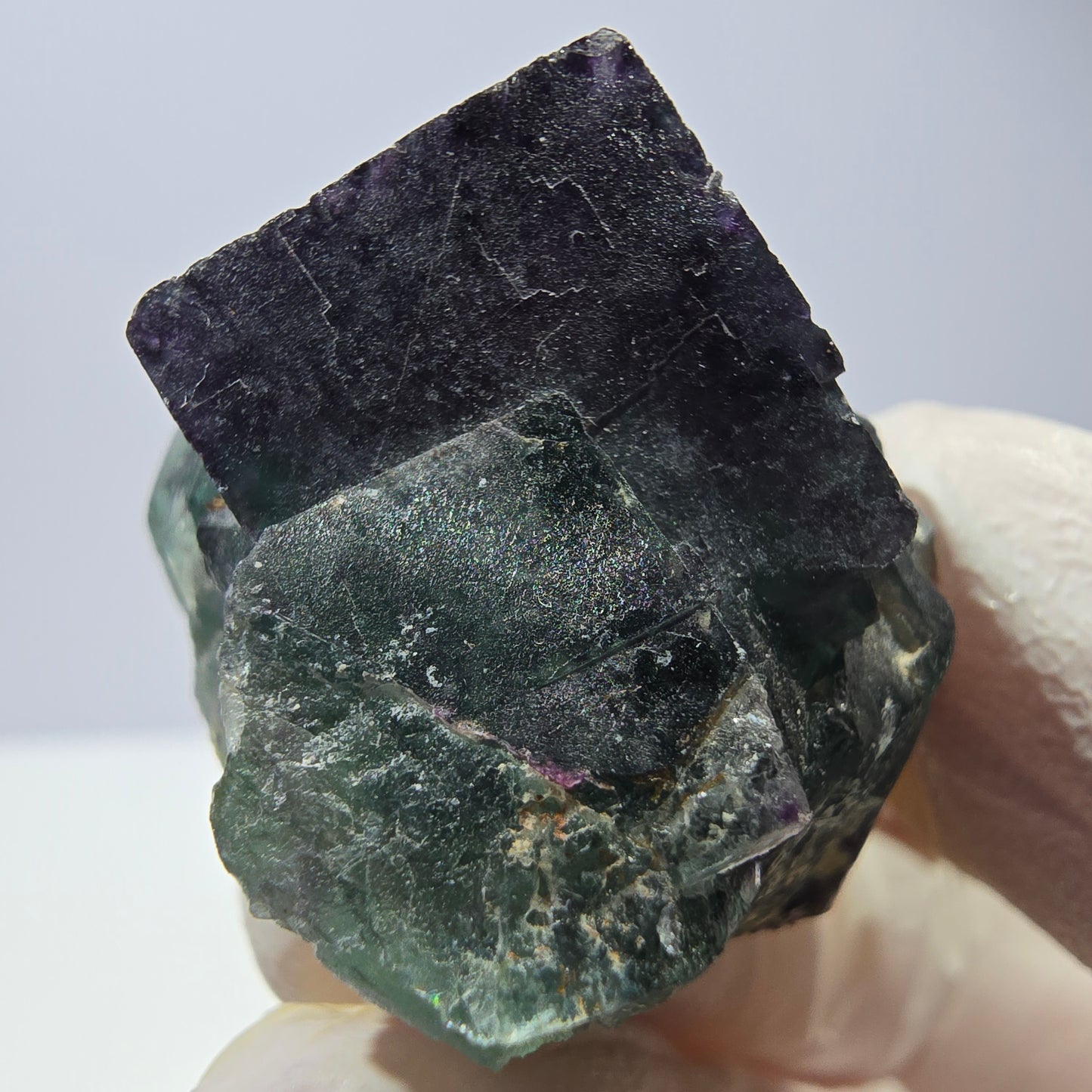 Spécimen de cube de fluorite fantôme, parqueté vert violet Okorusu, Namibie 37*31*25 mm
