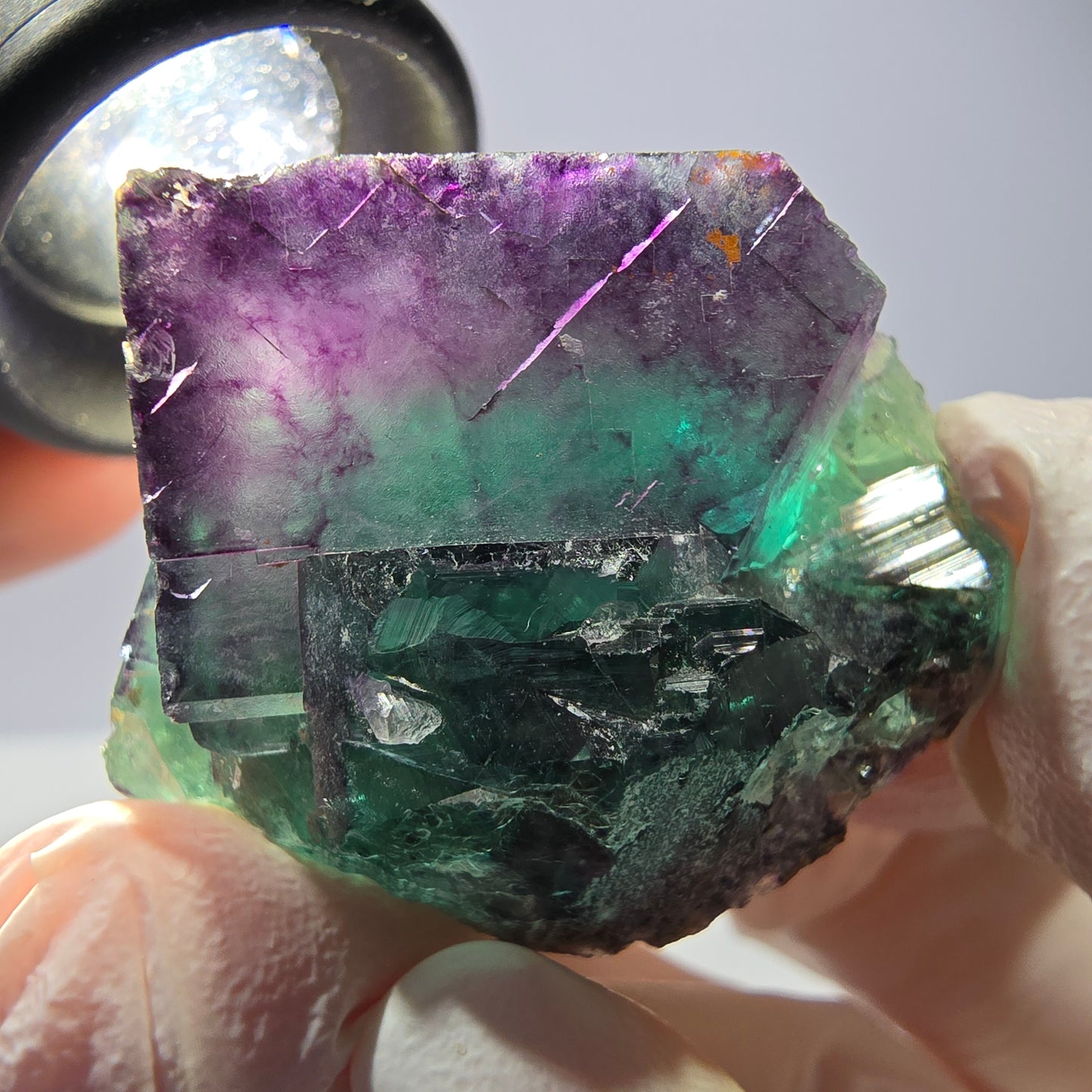 Spécimen de cube de fluorite fantôme, parqueté vert violet Okorusu, Namibie 37*31*25 mm