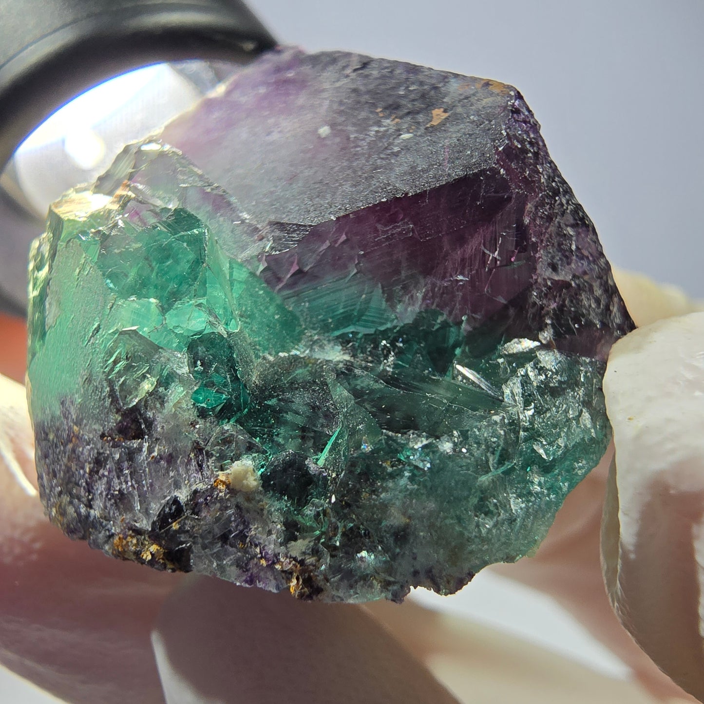 Spécimen de cube de fluorite fantôme, parqueté vert violet Okorusu, Namibie 37*31*25 mm