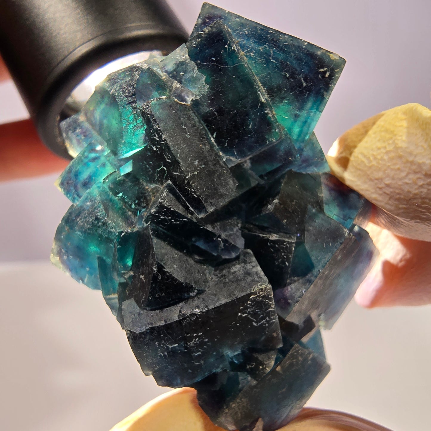 Rare spécimen de cube de fluorite fantôme, poche papillon, Okorusu, Namibie, 51 x 39 x 24 mm