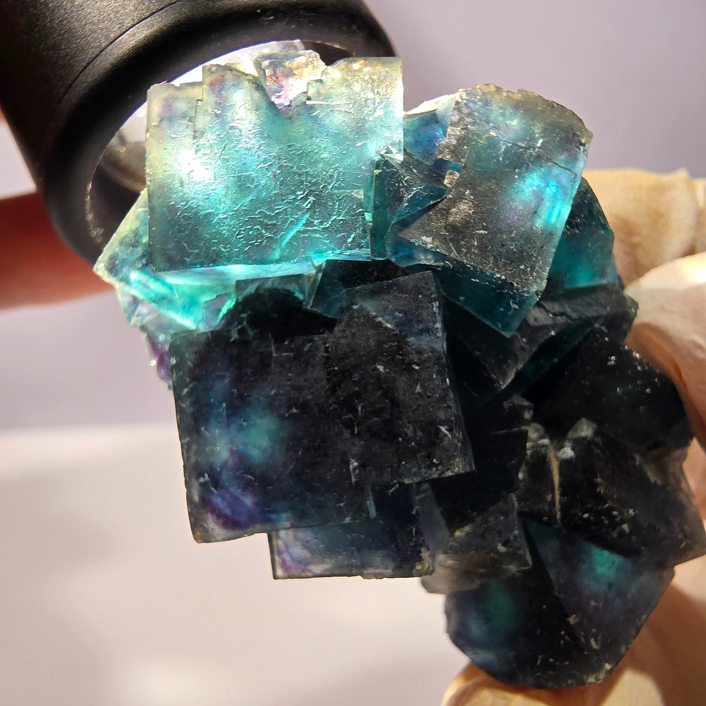 Rare spécimen de cube de fluorite fantôme, poche papillon, Okorusu, Namibie, 51 x 39 x 24 mm