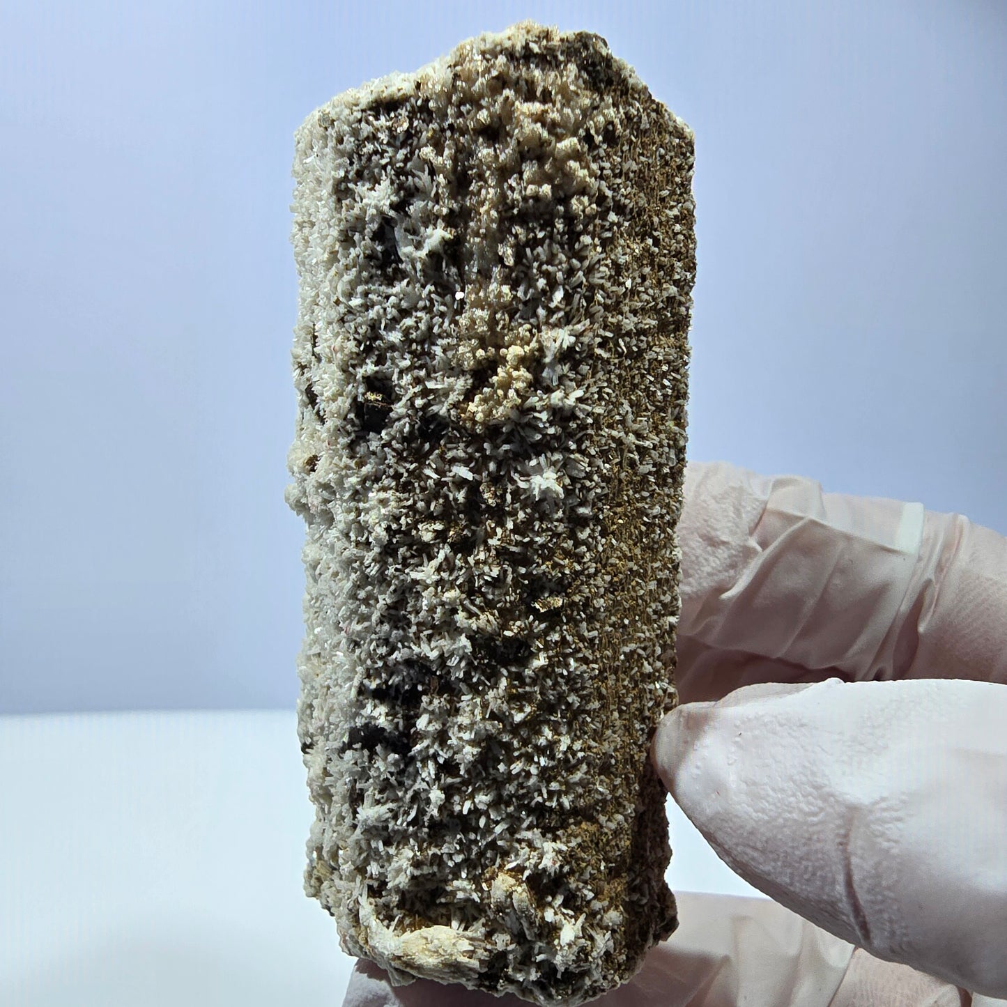 Spécimen rare de tourmaline Schorl, d'opale hyalite et d'orthose, Erongo, Namibie, 71 x 31 x 29 mm