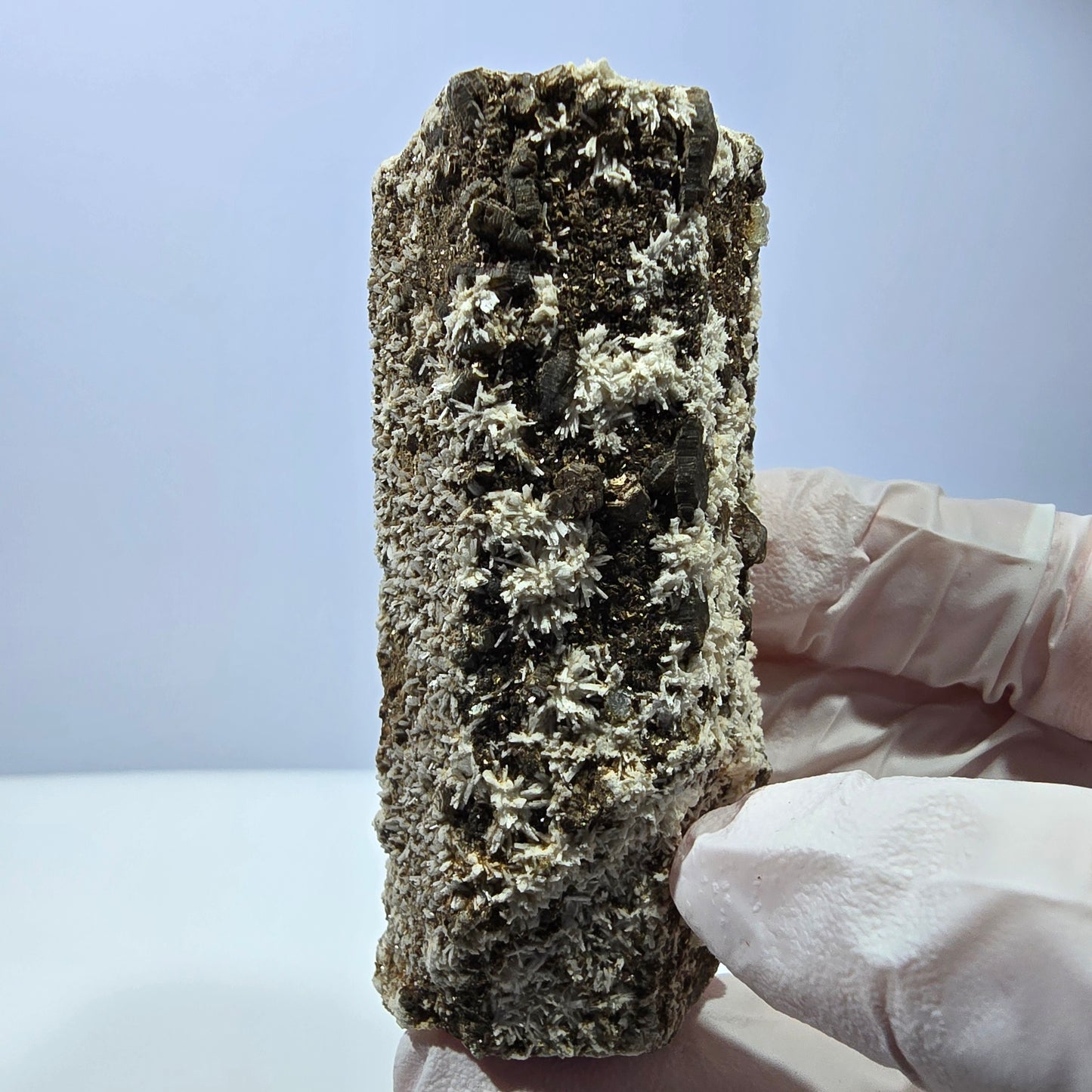 Spécimen rare de tourmaline Schorl, d'opale hyalite et d'orthose, Erongo, Namibie, 71 x 31 x 29 mm