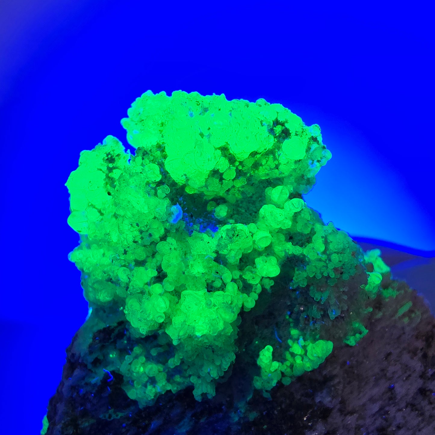 Opale hyalite rare, spécimen d'orthose Erongo, Namibie 58*55*40mm