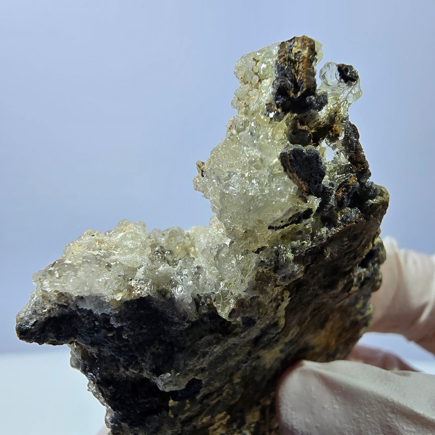 Spécimen rare d'opale hyalite et de tourmaline Schorl, Erongo, Namibie, 62 x 43 x 21 mm