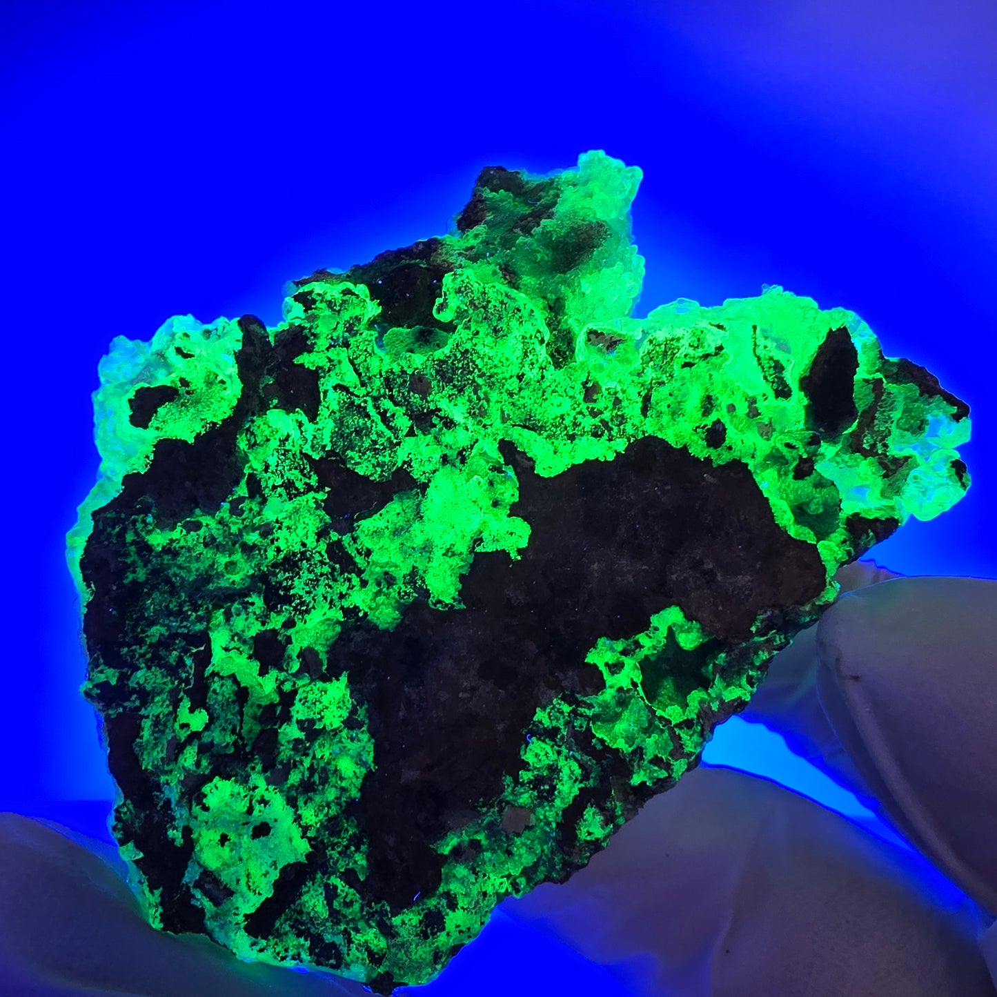 Spécimen rare d'opale hyalite et de tourmaline Schorl, Erongo, Namibie, 62 x 43 x 21 mm