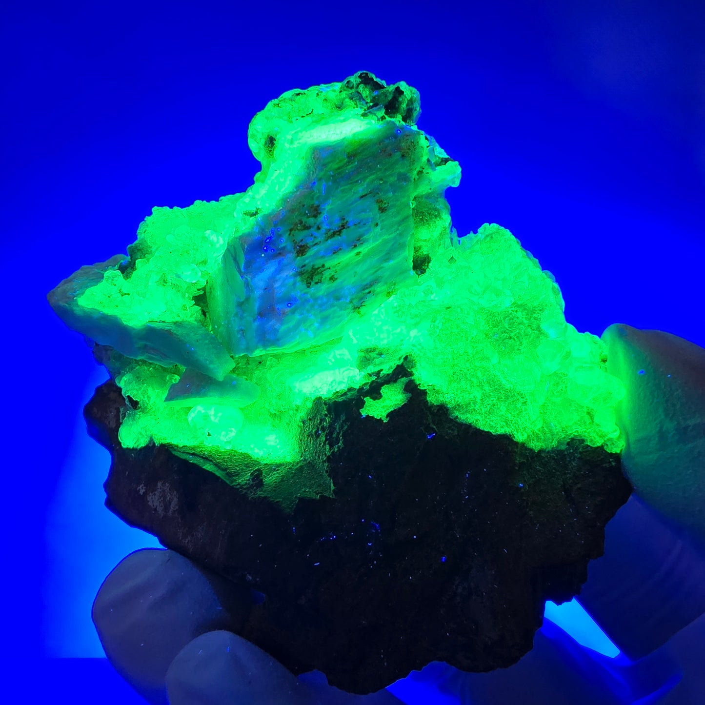 Hyalit Opal, Rauchquarz, Schörl Turmalin, Orthoklas Erongo, Namibia 71*58*45mm