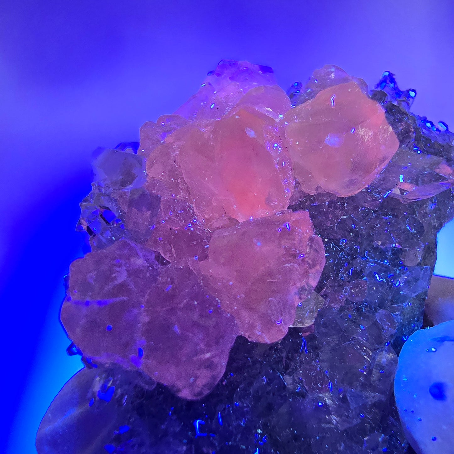 Amas de quartz rare en forme d'étoile de calcite UV, mine Streep, Gobobo, Namibie, 47 x 38 x 21 mm