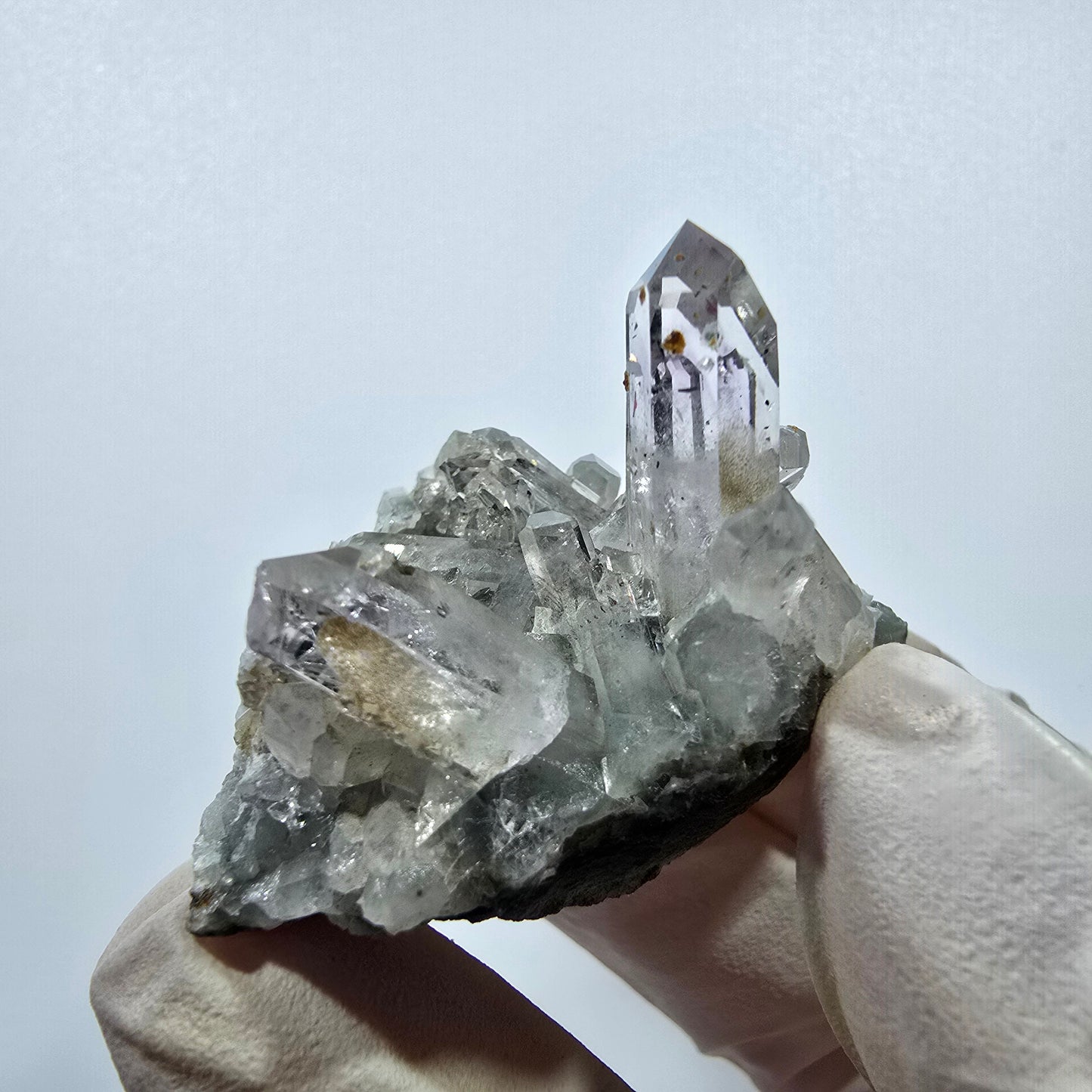 Quartz Harlequin rare, spécimen de chlorite, mine Streep, Goboboseb, Namibie, 46 x 32 x 28 mm