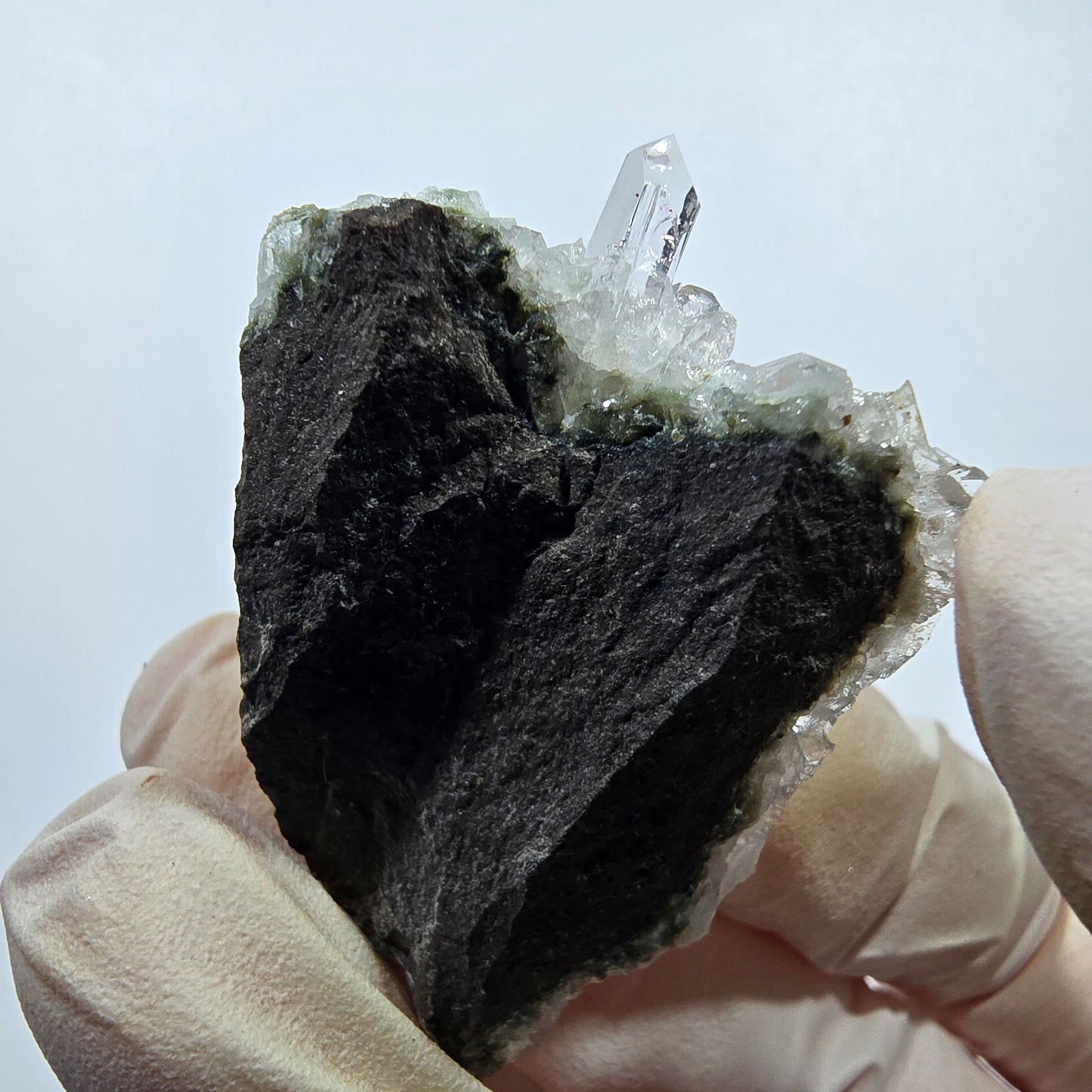 Quartz Harlequin rare, spécimen de chlorite, mine Streep, Goboboseb, Namibie, 46 x 32 x 28 mm