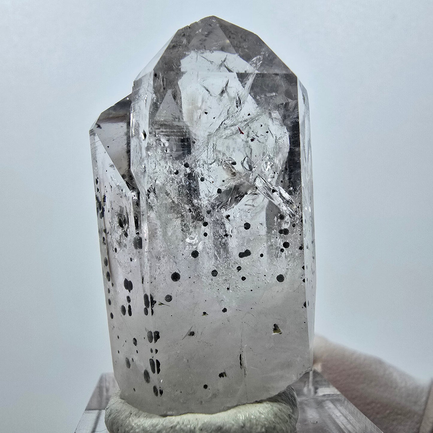 Quartz Harlequin, pointes d'hématite, mine Streep, Goboboseb, Namibie, 39 x 21 x 18 mm
