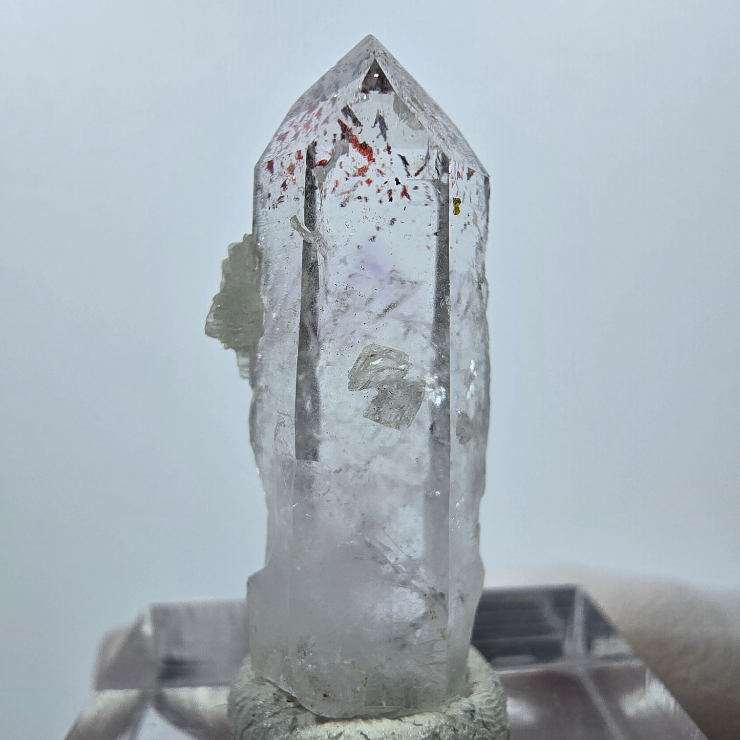 Quartz Harlequin avec préhnite Point Streep Mine, Goboboseb, Namibie 31 x 12 x 9 mm
