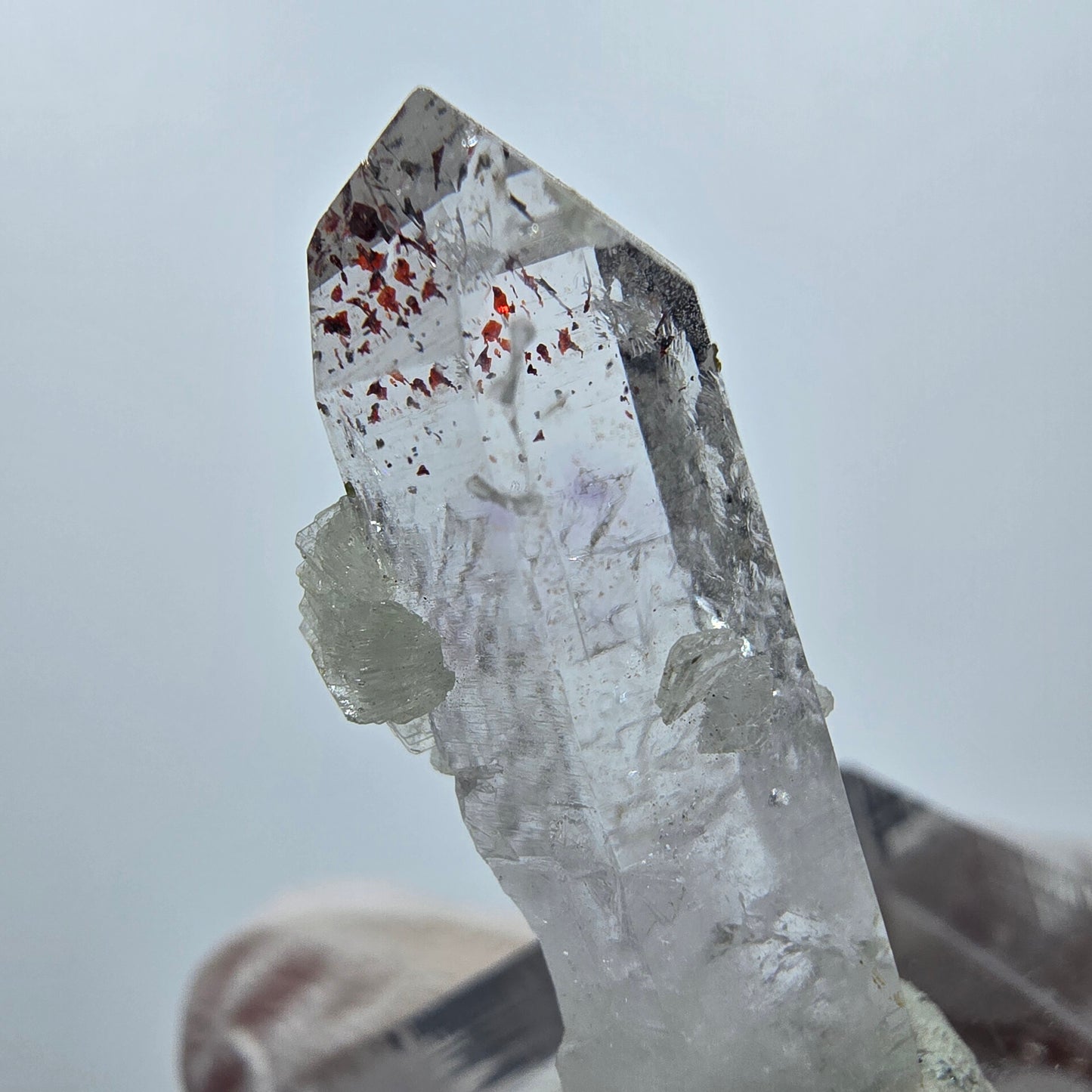 Quartz Harlequin avec préhnite Point Streep Mine, Goboboseb, Namibie 31 x 12 x 9 mm