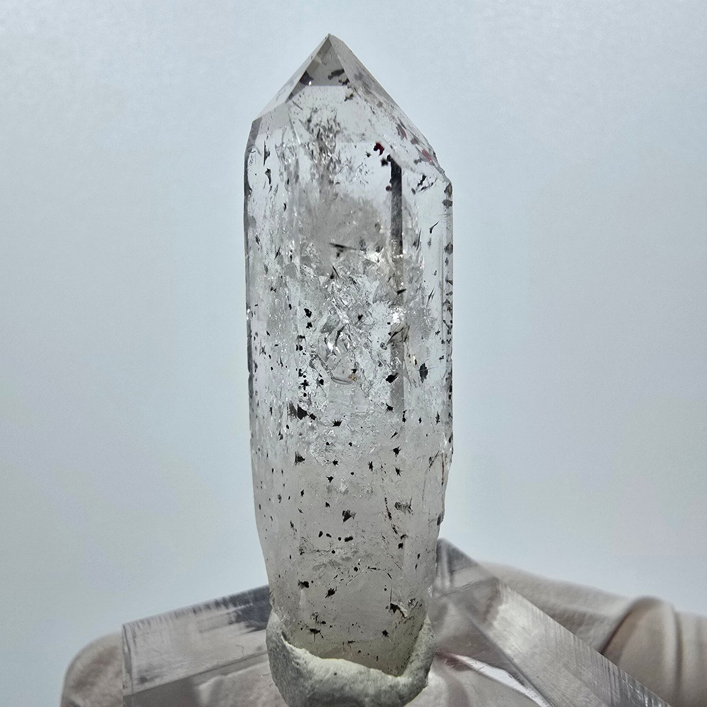 Quartz clair Harlequin Mine Point Streep, Goboboseb, Namibie 42 x 15 x 11 mm