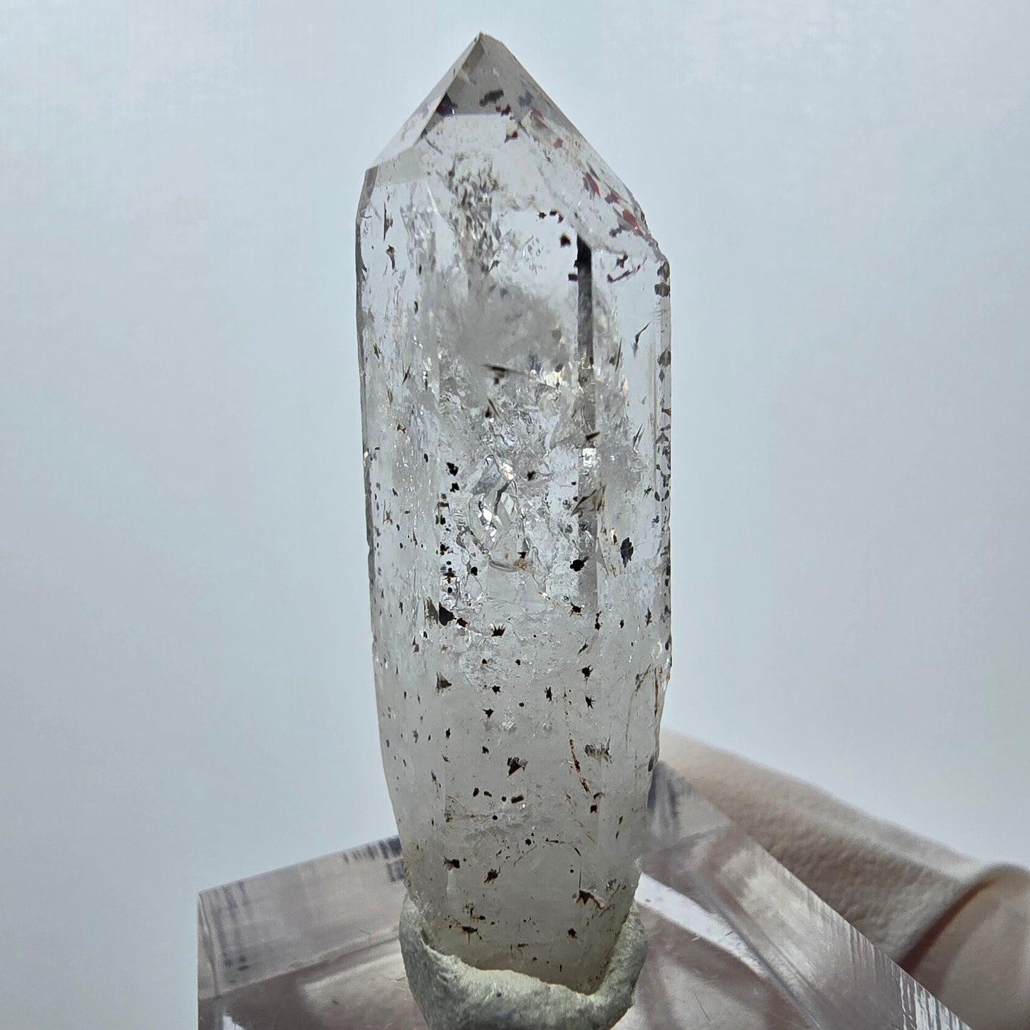 Quartz clair Harlequin Mine Point Streep, Goboboseb, Namibie 42 x 15 x 11 mm