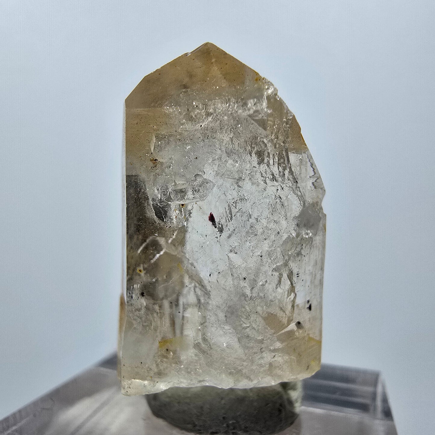 Quartz fantôme Harlequin clair, mine Point Streep, Goboboseb, Namibie, 30 x 14 x 14 mm