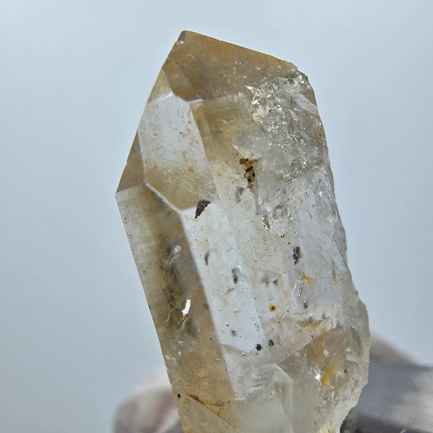 Quartz fantôme Harlequin clair, mine Point Streep, Goboboseb, Namibie, 30 x 14 x 14 mm