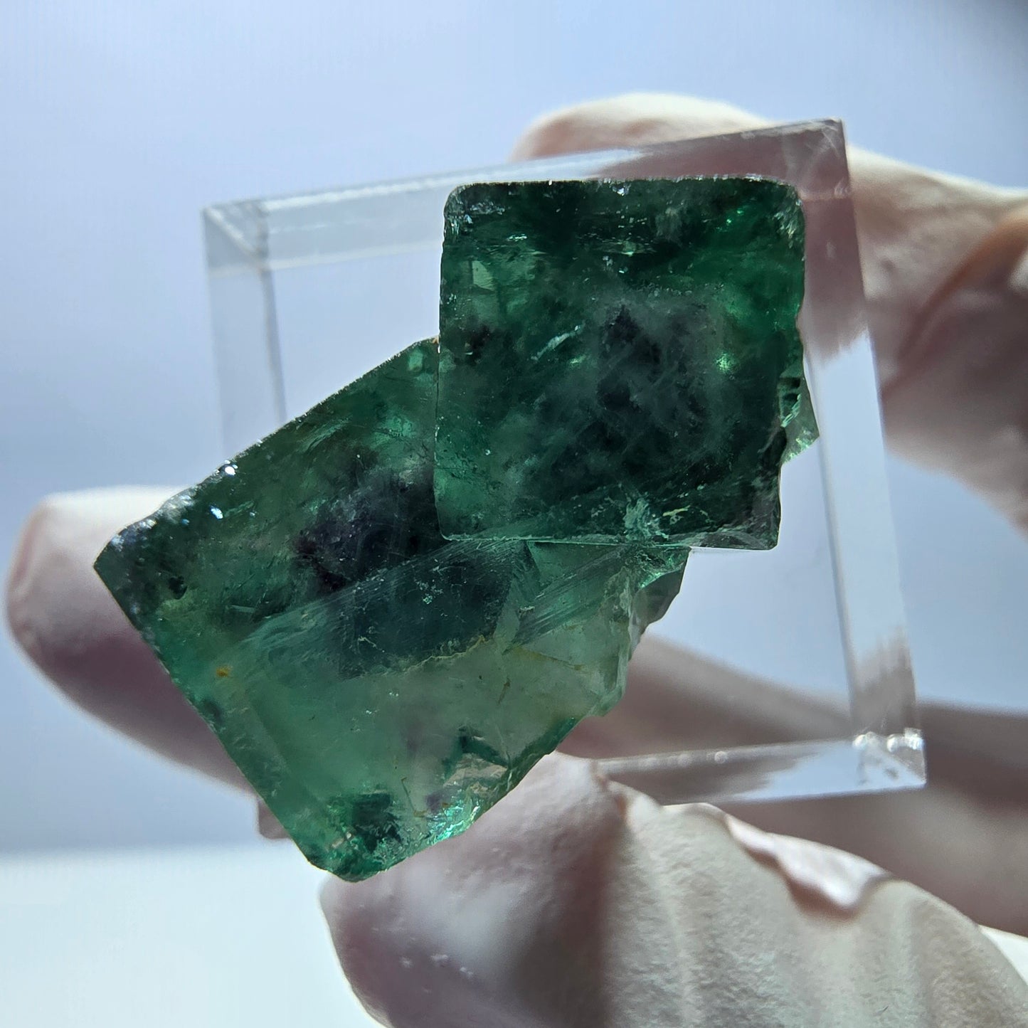 Spécimen rare de cube de fluorite, vert violet, Okorusu, Namibie, 25 x 16 x 14 mm