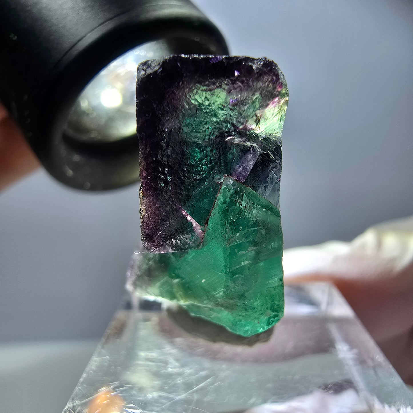 Spécimen rare de cube de fluorite, vert violet, Okorusu, Namibie, 29 x 26 x 15 mm