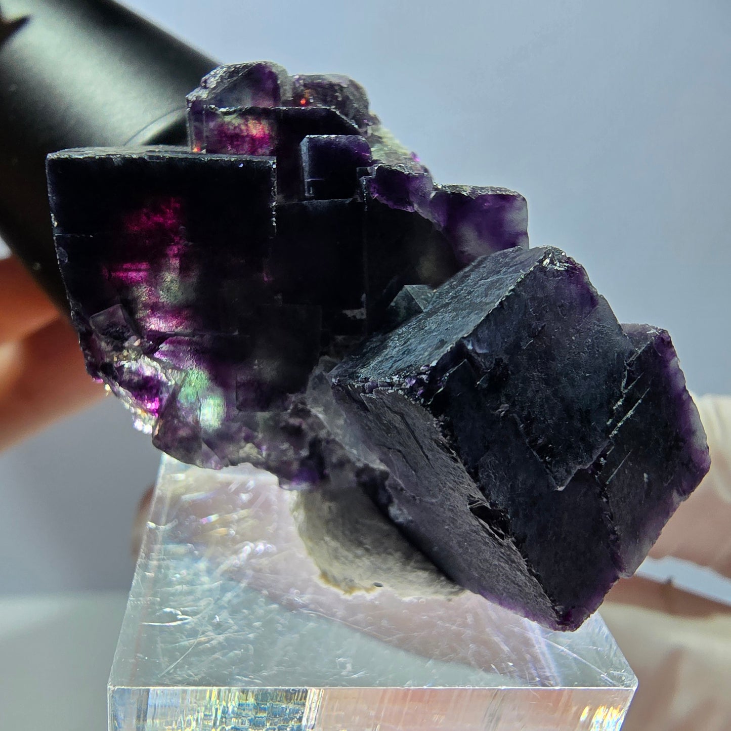 Spécimen rare de cube de fluorite, vert violet, Okorusu, Namibie 43 x 27 x 22 mm