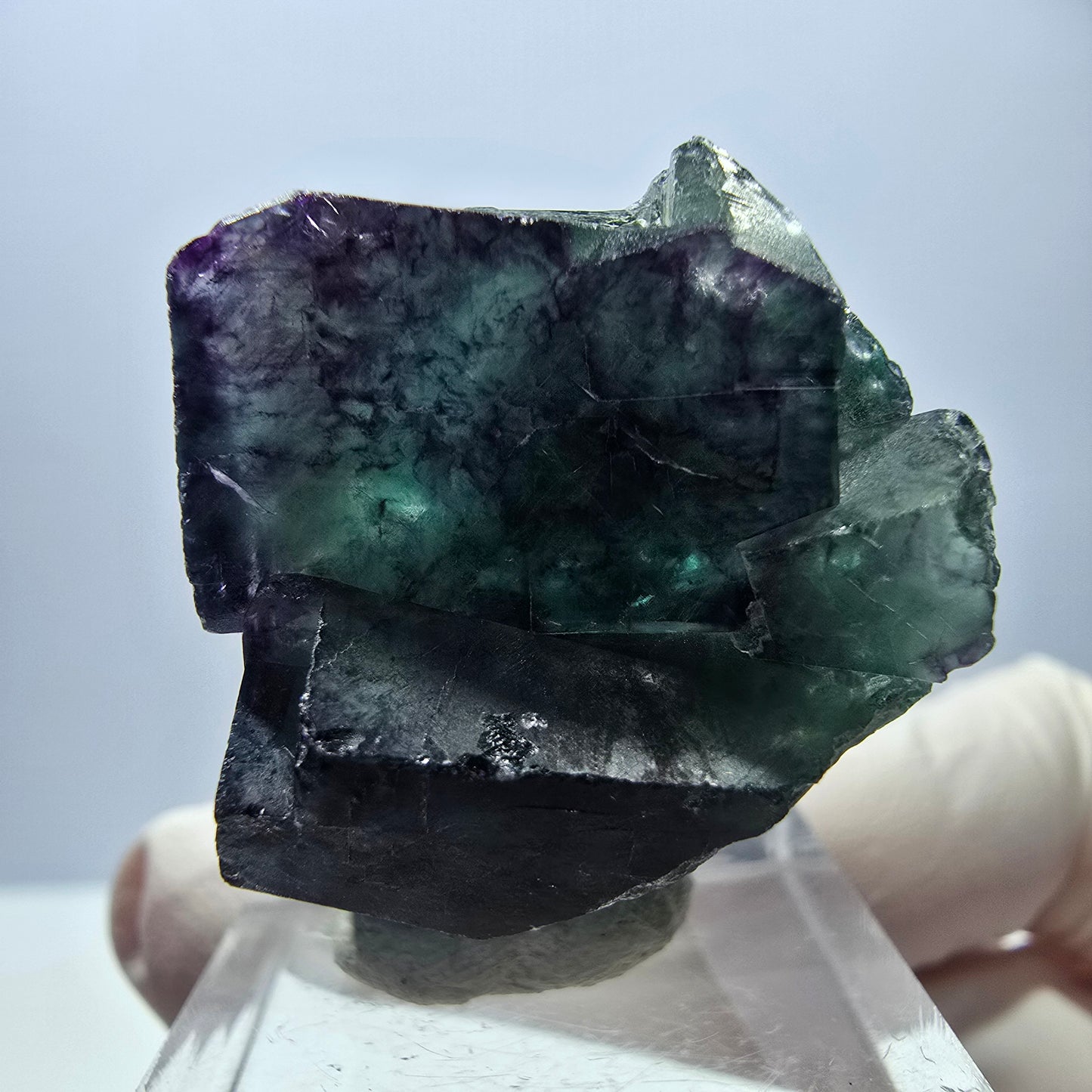 Rare spécimen de cube de fluorite, vert-violet, Okorusu, Namibie, 36 x 26 x 24 mm