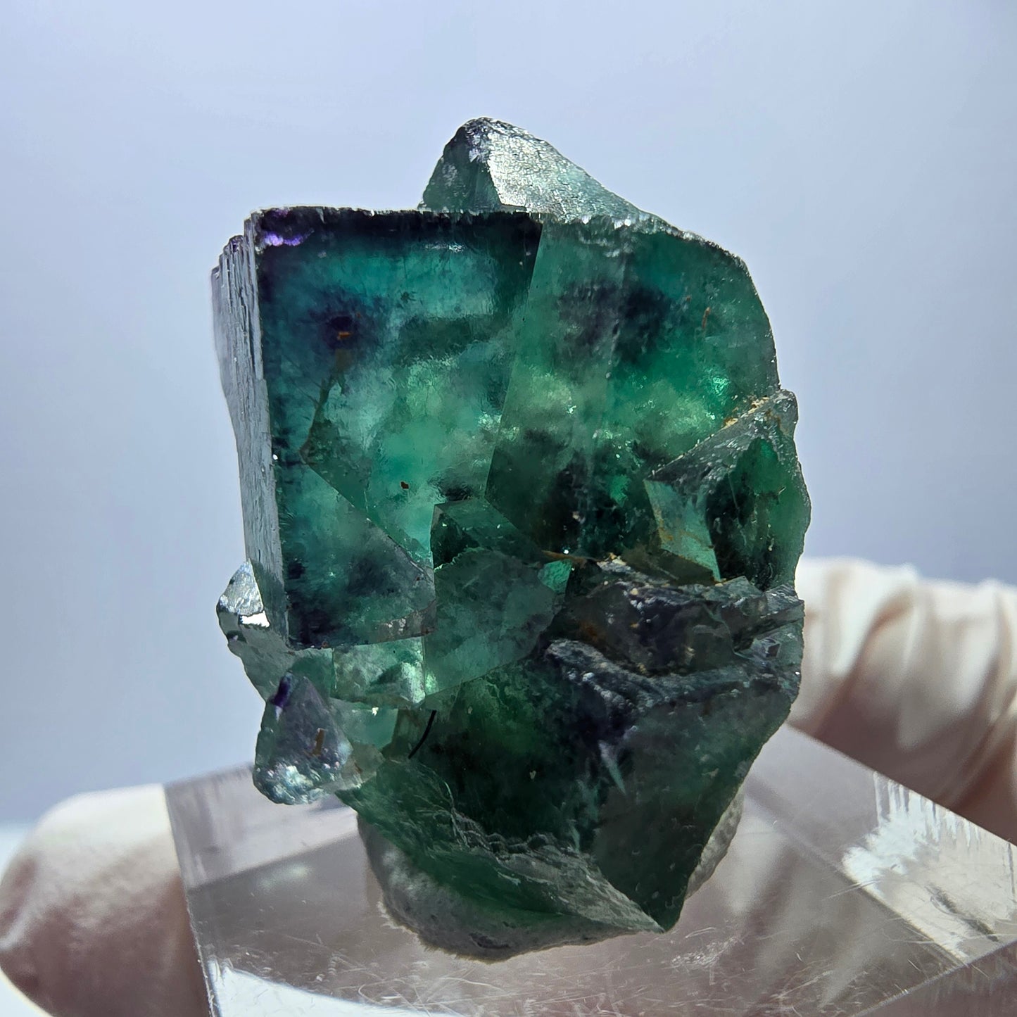Rare spécimen de cube de fluorite, vert-violet, Okorusu, Namibie, 33 x 26 x 22 mm