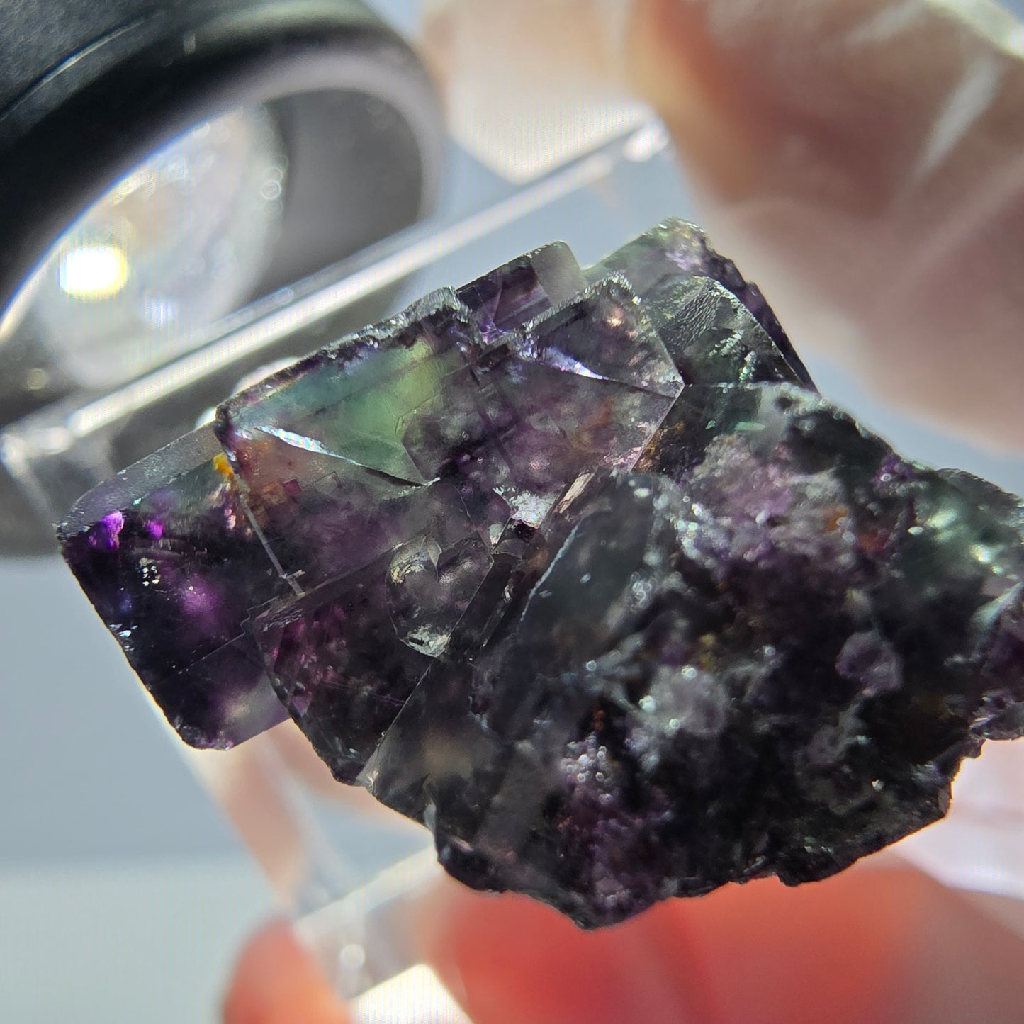 Spécimen rare de cube de fluorite, vert violet, Okorusu, Namibie, 25 x 18 x 18 mm