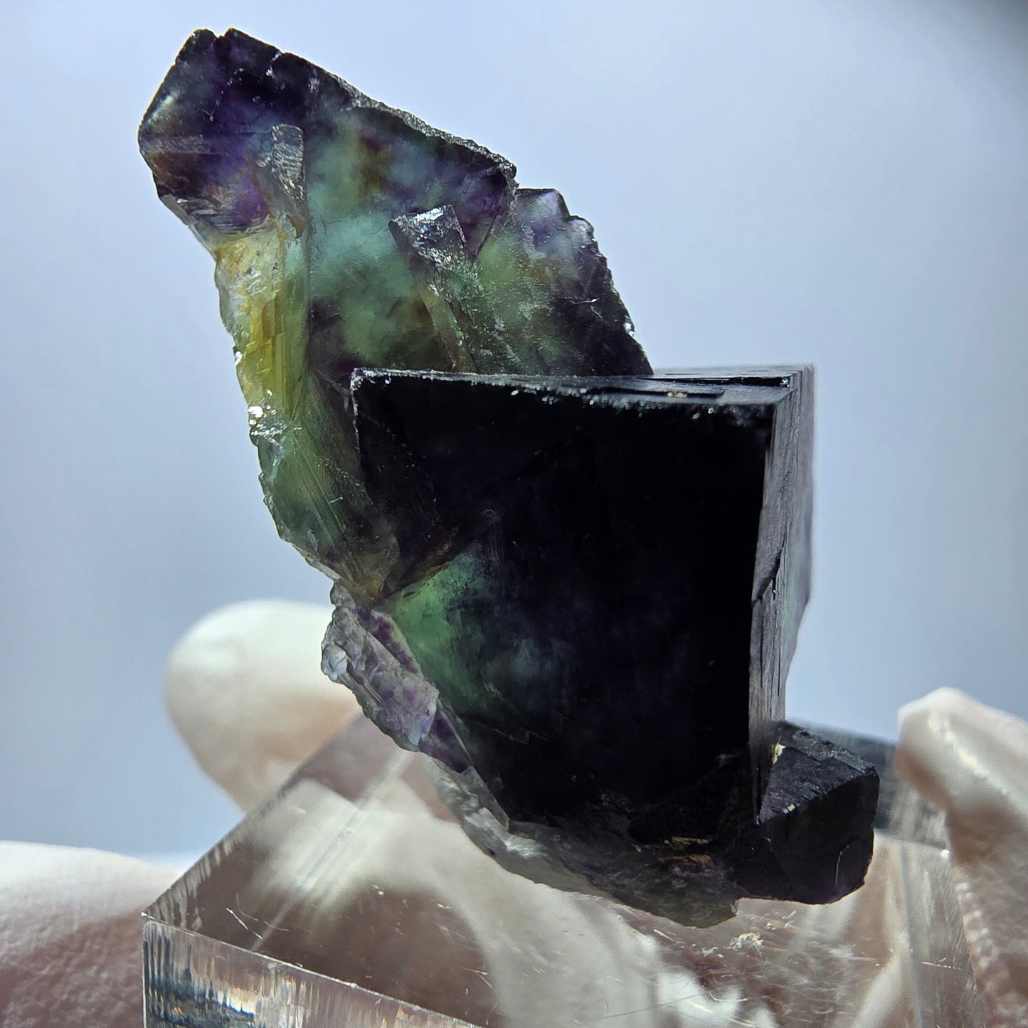 Spécimen rare de cube de fluorite, vert violet, Okorusu, Namibie, 40 x 25 x 18 mm