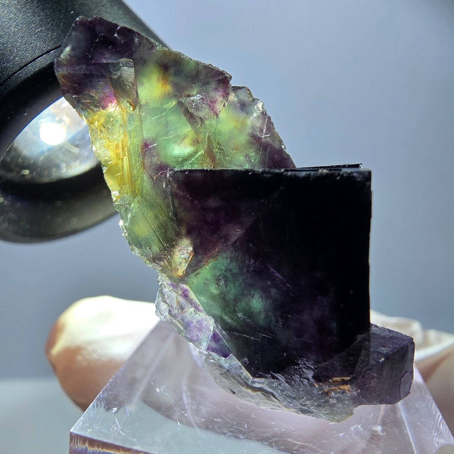 Spécimen rare de cube de fluorite, vert violet, Okorusu, Namibie, 40 x 25 x 18 mm