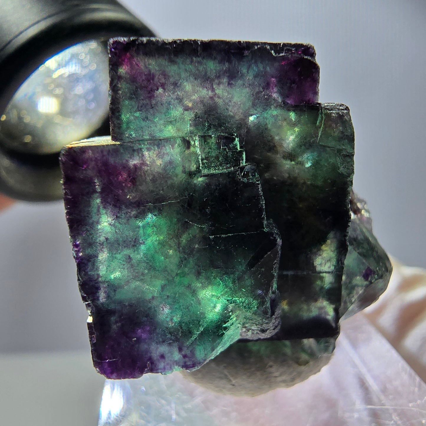 Spécimen rare de cube de fluorite, vert violet, Okorusu, Namibie, 29 x 25 x 21 mm