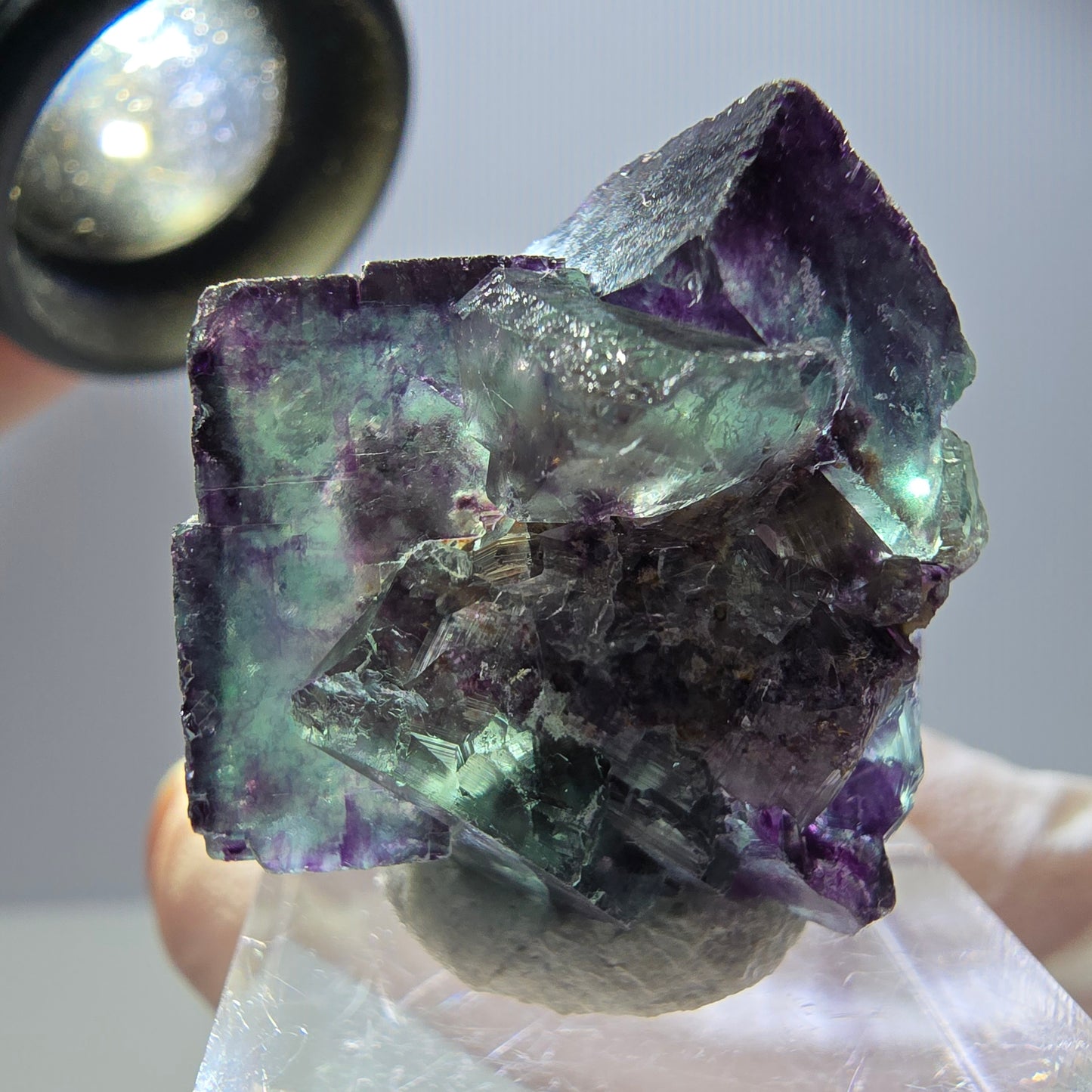Spécimen rare de cube de fluorite, vert violet, Okorusu, Namibie, 27 x 25 x 17 mm