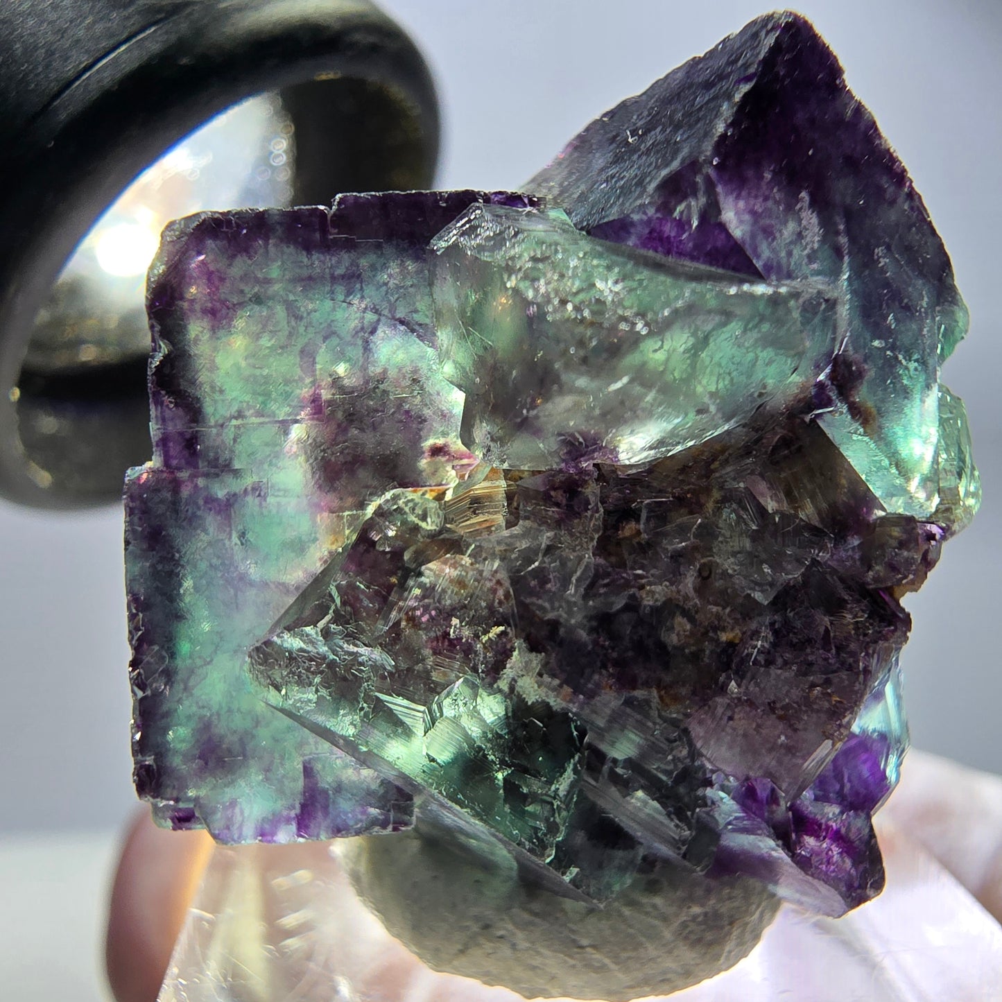 Spécimen rare de cube de fluorite, vert violet, Okorusu, Namibie, 27 x 25 x 17 mm