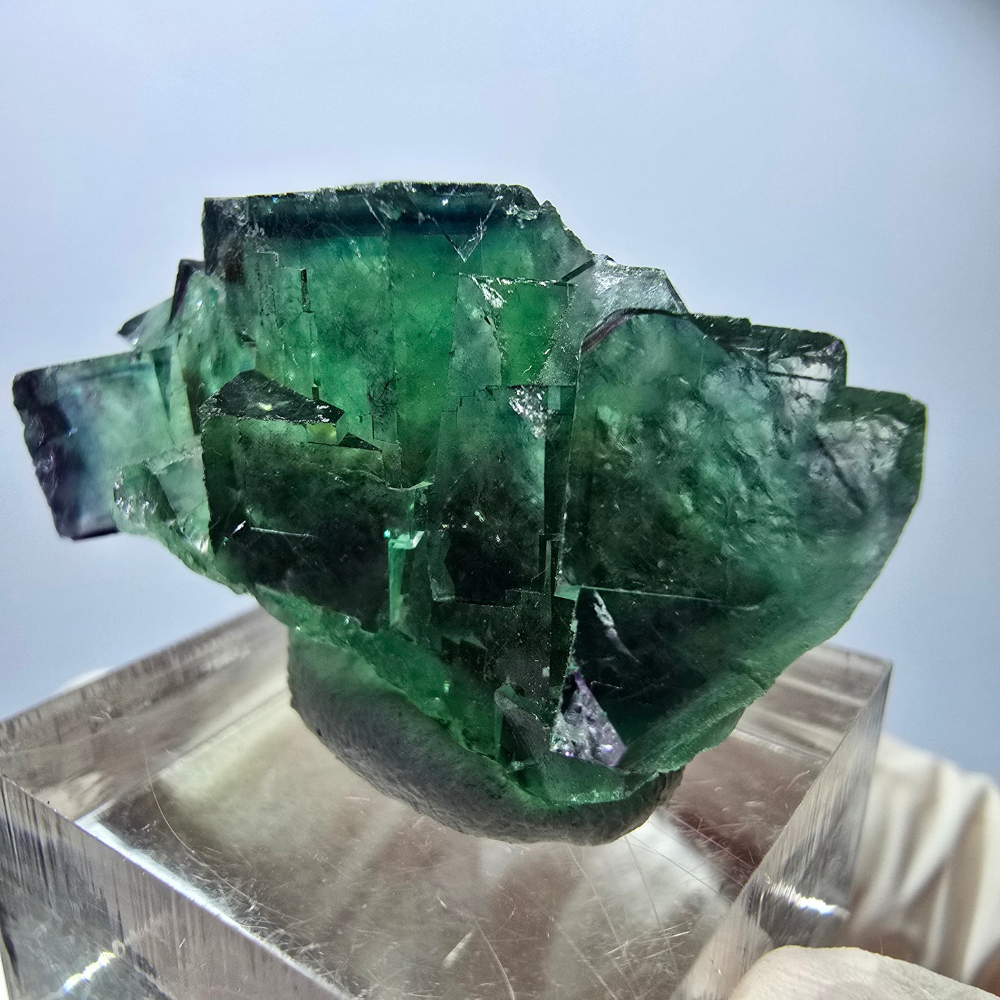 Rare spécimen de cube de fluorite, vert-violet, Okorusu, Namibie, 37 x 21 x 18 mm