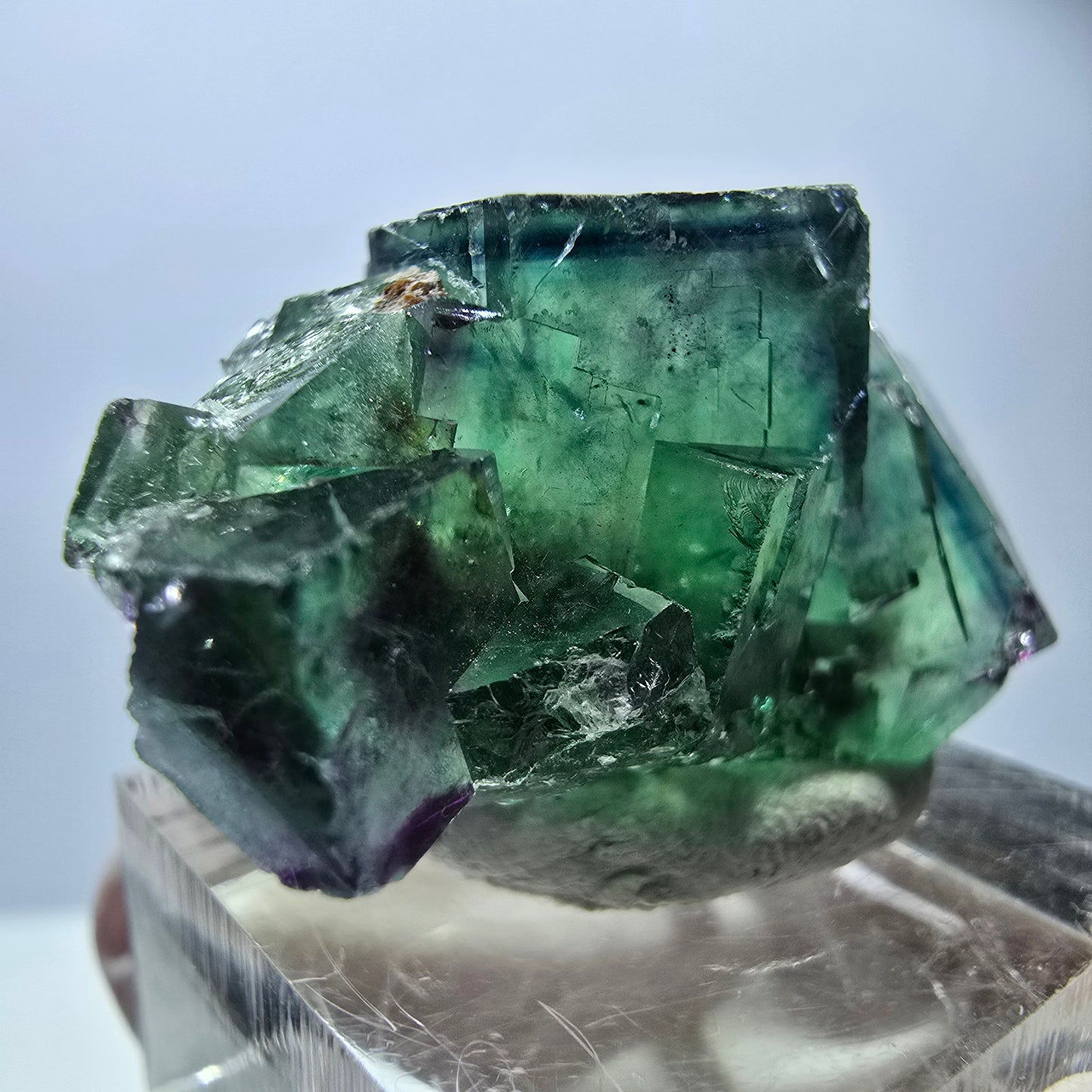 Rare spécimen de cube de fluorite, vert-violet, Okorusu, Namibie, 37 x 21 x 18 mm