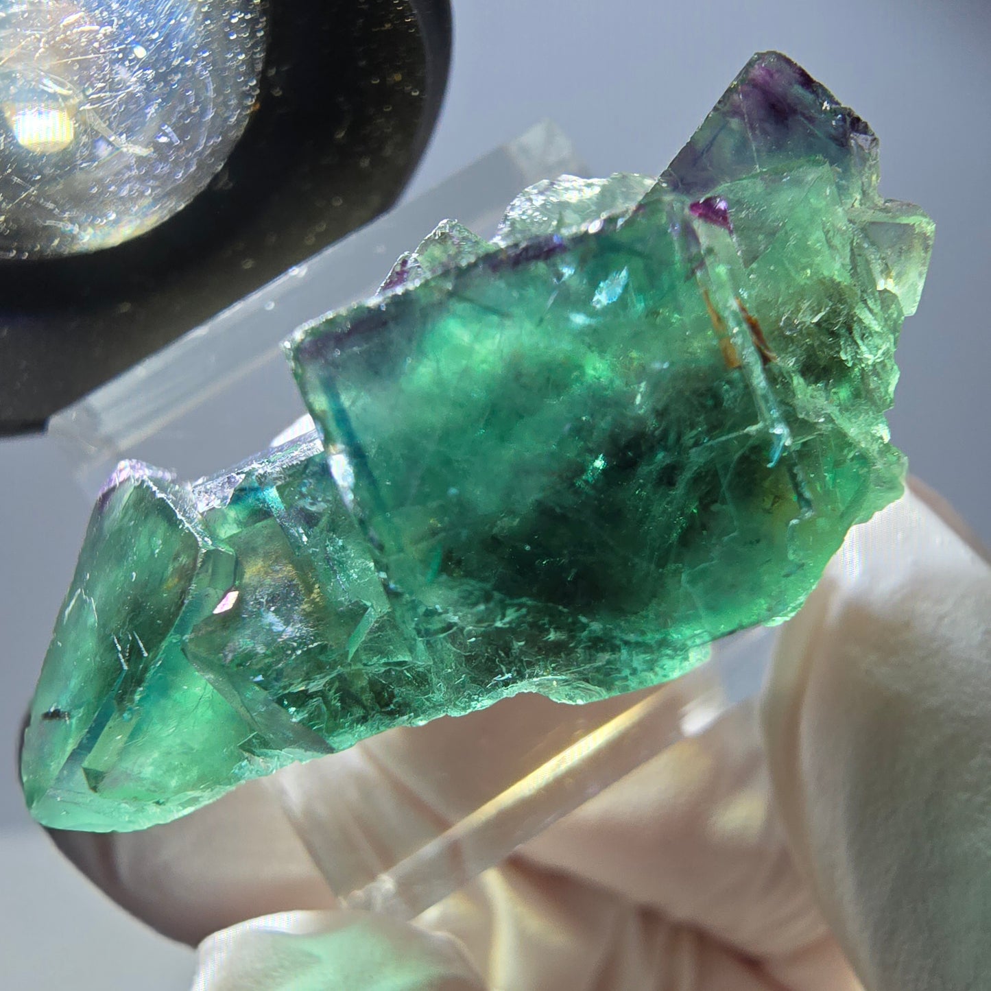 Rare spécimen de cube de fluorite, vert-violet, Okorusu, Namibie, 37 x 21 x 18 mm
