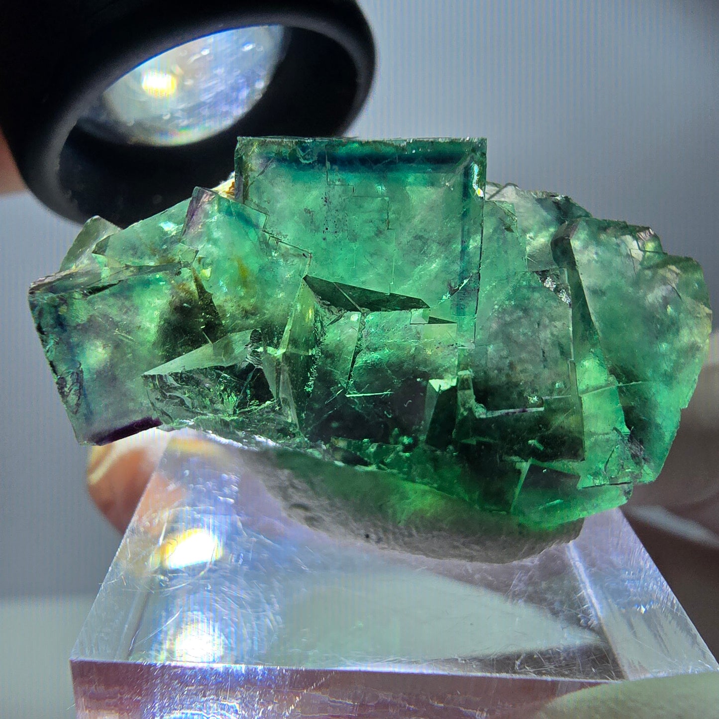 Rare spécimen de cube de fluorite, vert-violet, Okorusu, Namibie, 37 x 21 x 18 mm