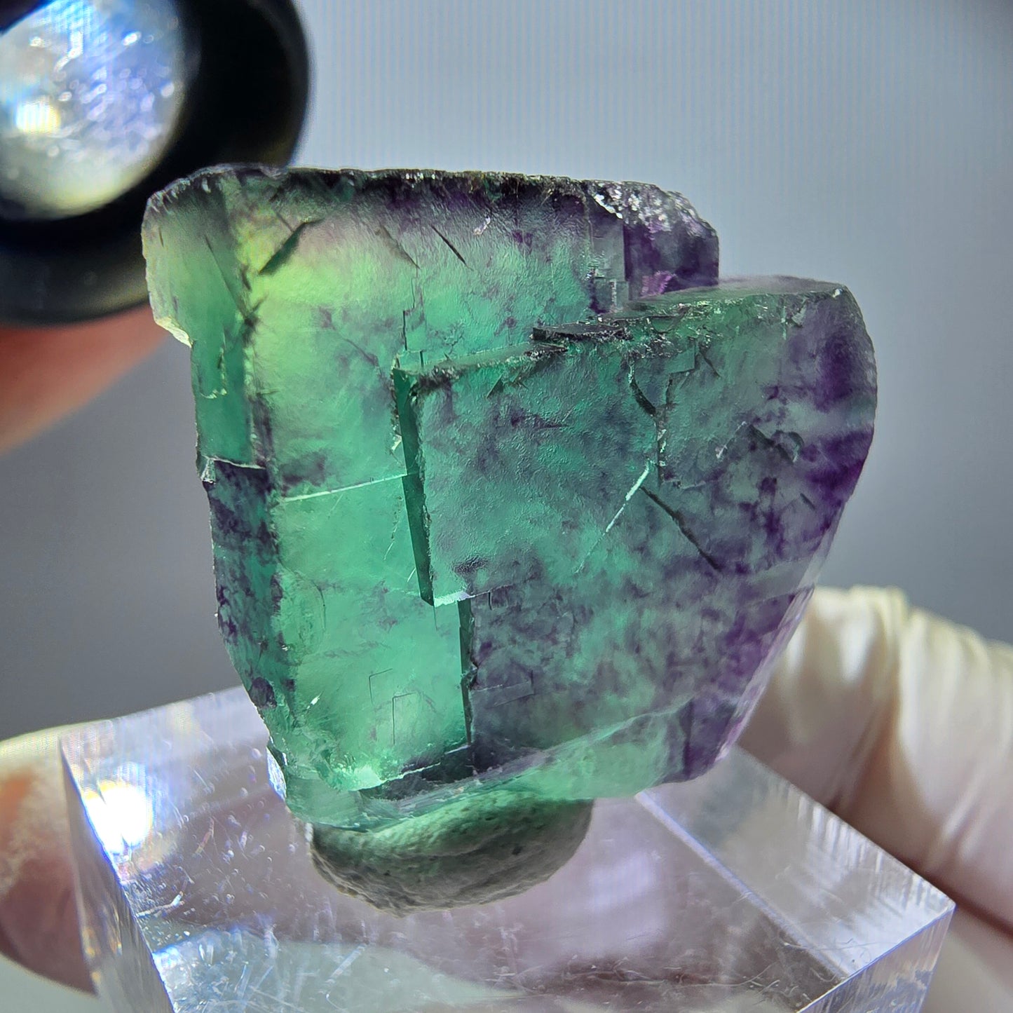 Rare Fluorite Cube Specimen, green purple Okorusu, Namibia 27*27*13mm