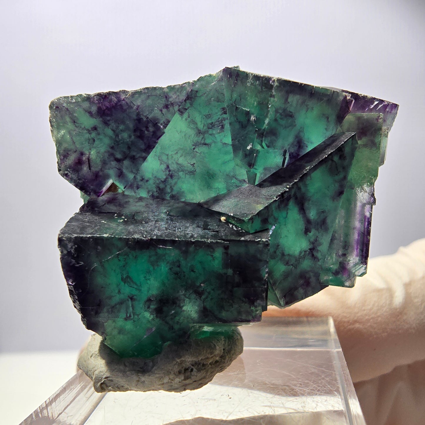 Spécimen rare de cube de fluorite, vert violet, Okorusu, Namibie, 40 x 31 x 17 mm