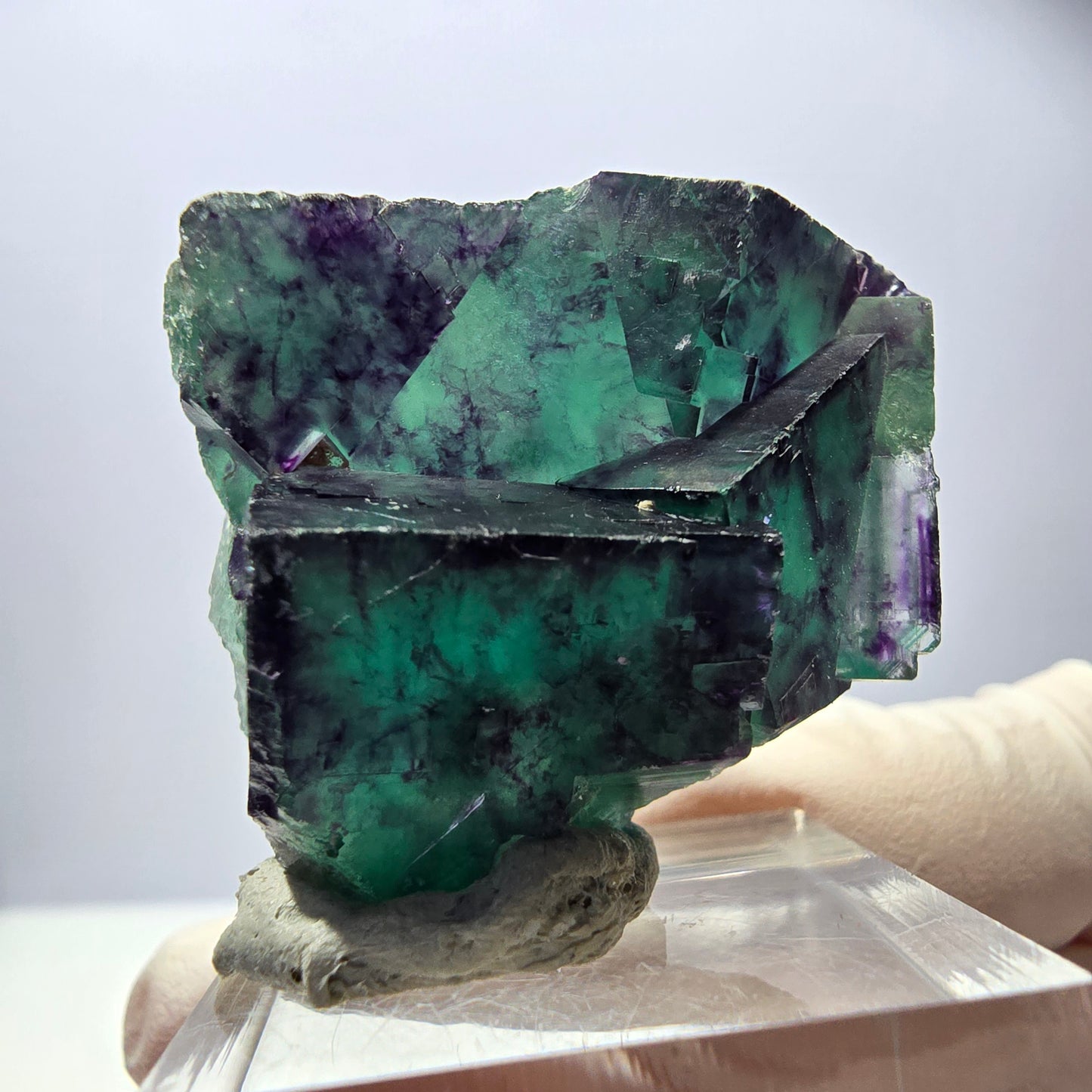 Spécimen rare de cube de fluorite, vert violet, Okorusu, Namibie, 40 x 31 x 17 mm